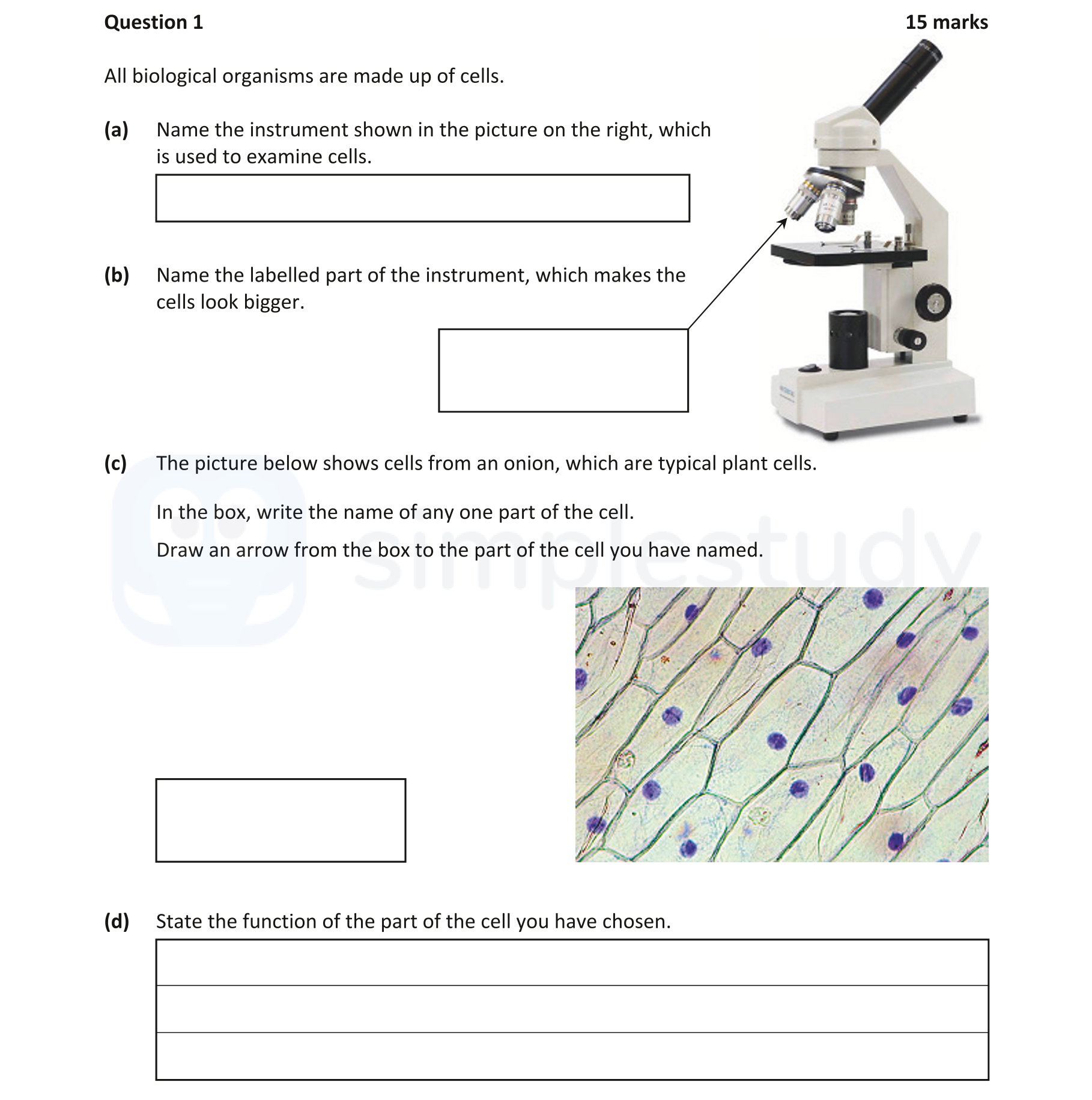 All-biological-organisms-are-made-up-of-cells-Junior Cycle Science-Question 1-2019.png
