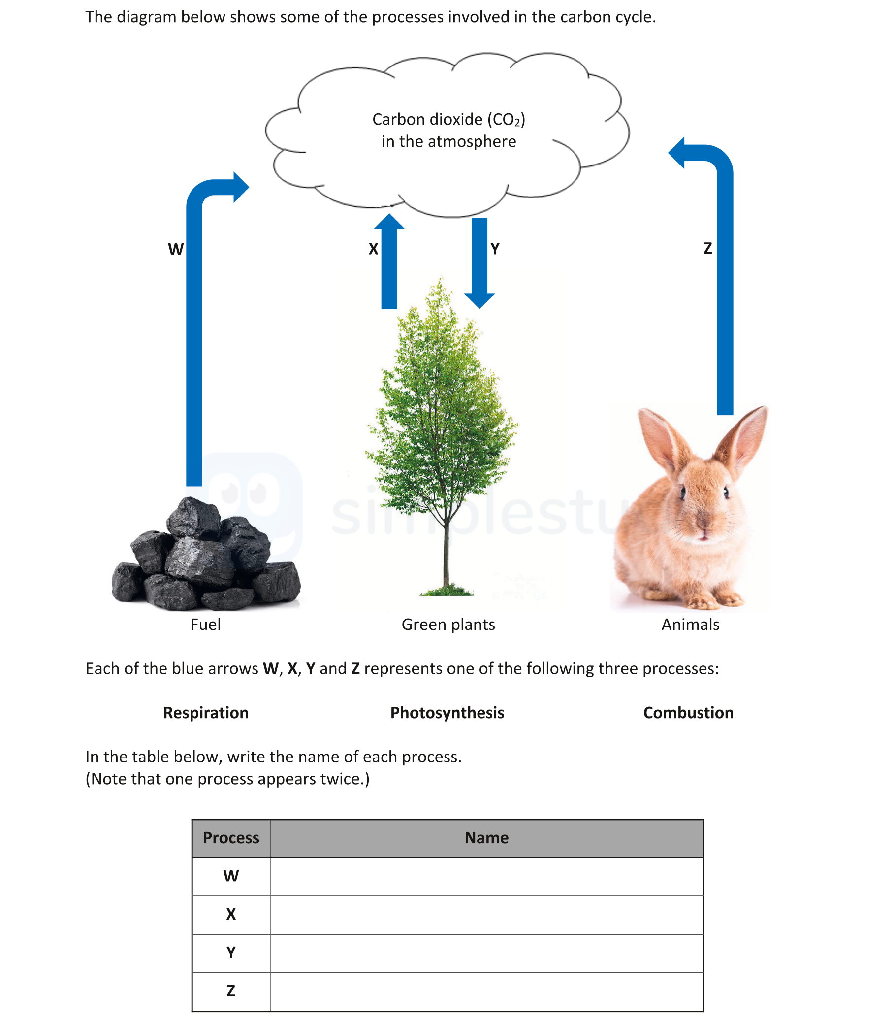 The-diagram-below-shows-some-of-the-processes-involved-in-the-carbon-cycle-Junior Cycle Science-Question 5-2019.png