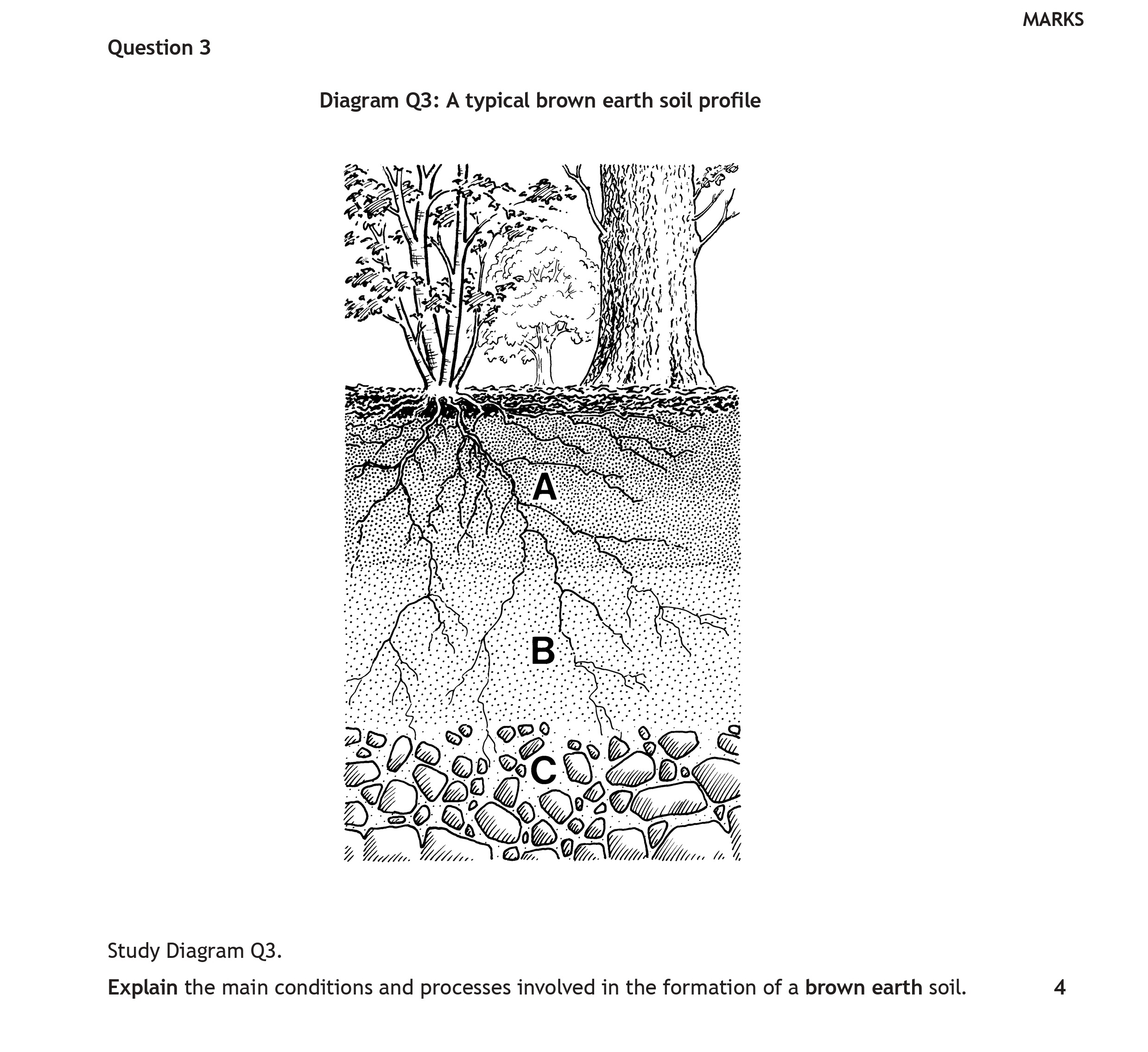 Diagram-Q3:-A-typical-brown-earth-soil-profile--Study-Diagram-Q3-Scottish Highers Geography-Question 3-2018.png