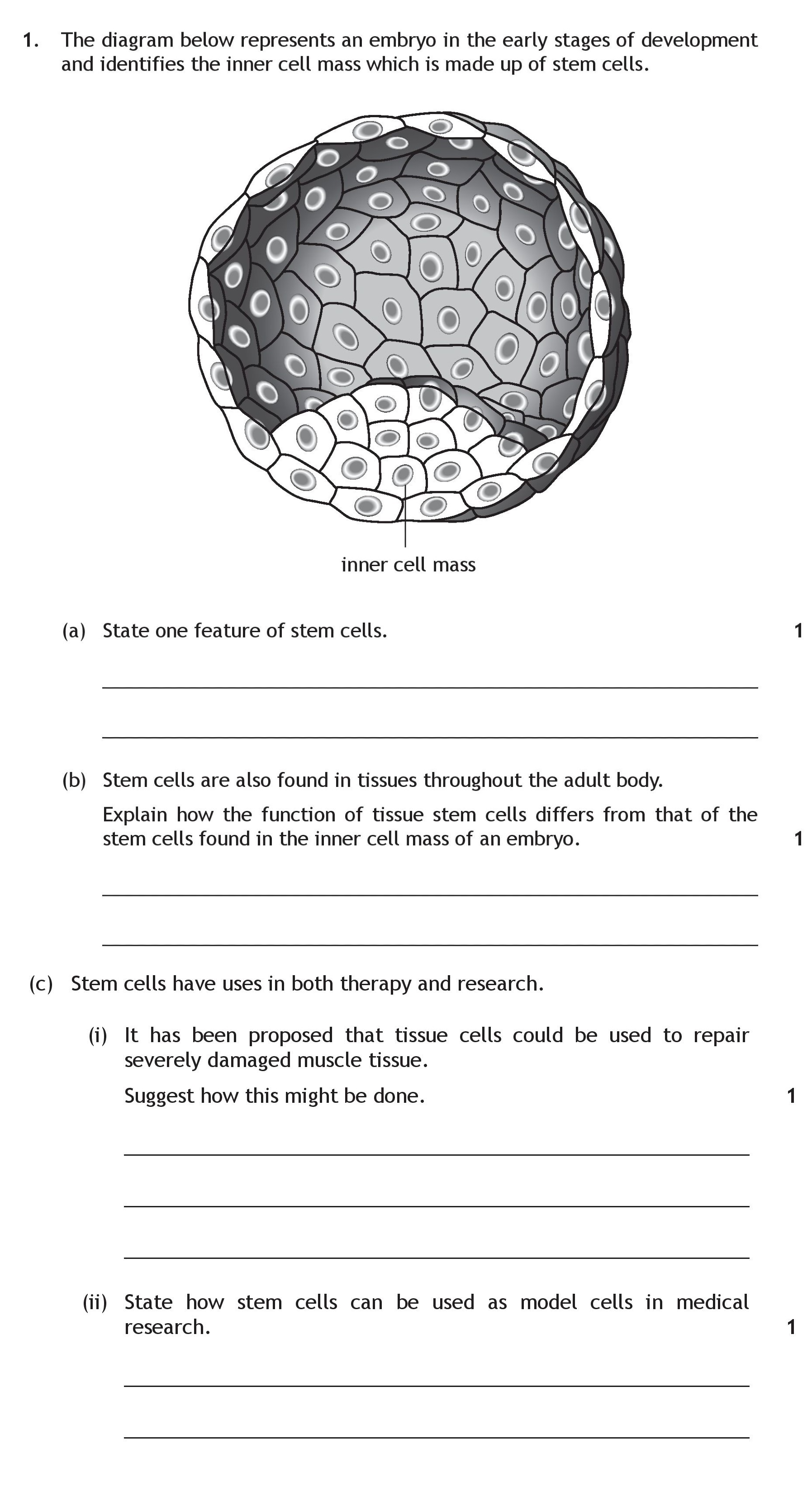 The-diagram-below-represents-an-embryo-in-the-early-stages-of-development-and-identifies-the-inner-cell-mass-which-is-made-up-of-stem-cells-Scottish Highers Human Biology-Question 1-2015.png