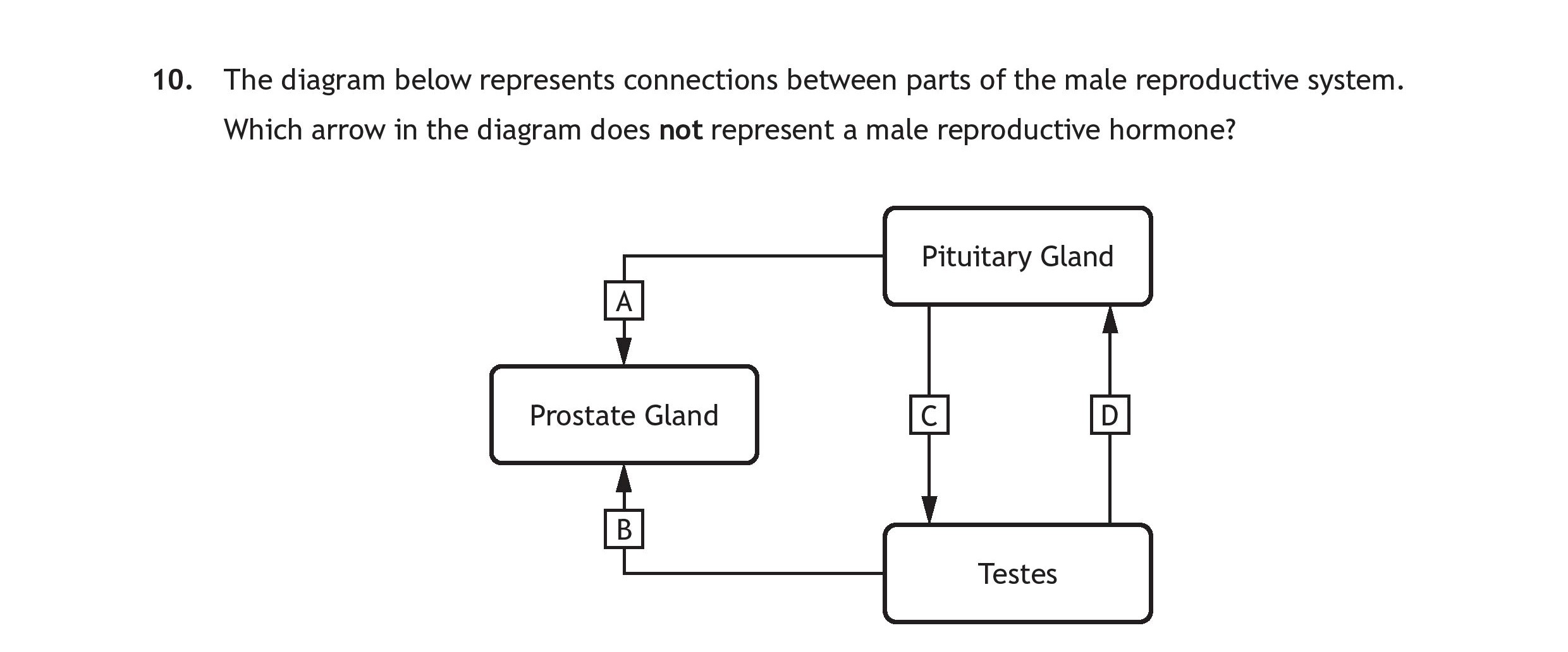 The-diagram-below-represents-connections-between-parts-of-the-male-reproductive-system-Scottish Highers Human Biology-Question 10-2016.png