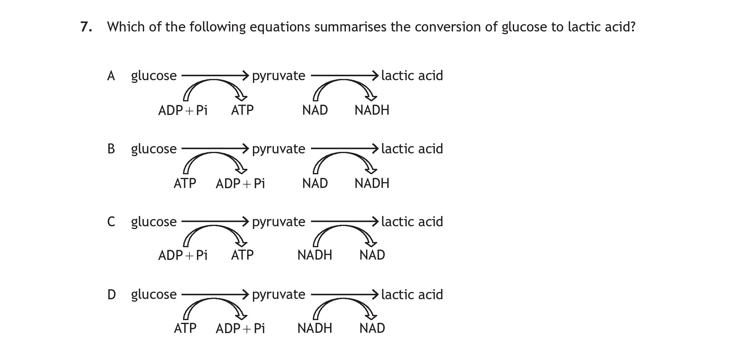 Which-of-the-following-equations-summarises-the-conversion-of-glucose-to-lactic-acid?--A-Scottish Highers Human Biology-Question 7-2017.png