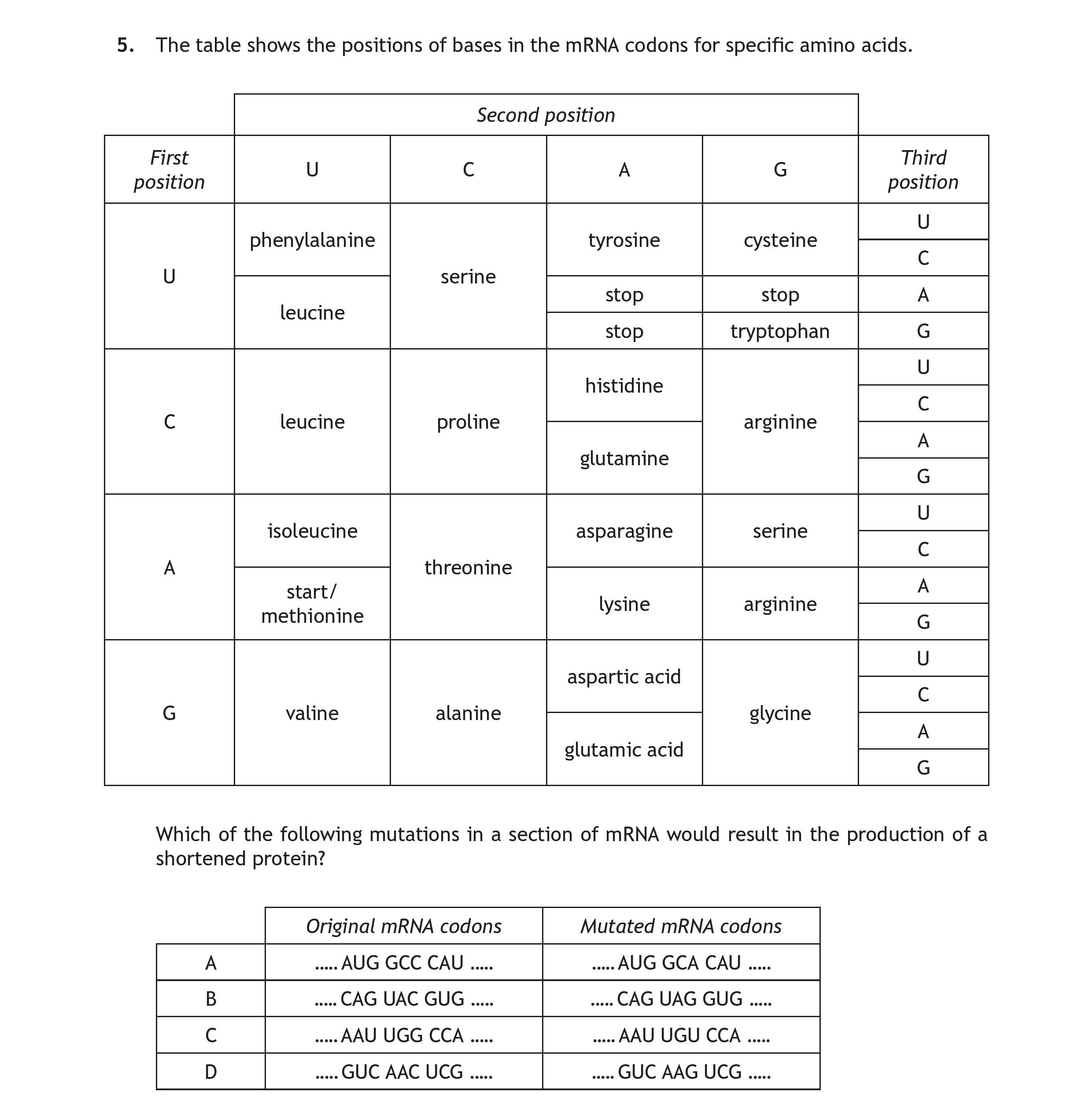 The-table-shows-the-positions-of-bases-in-the-mRNA-codons-for-specific-amino-acids-Scottish Highers Human Biology-Question 5-2018.png