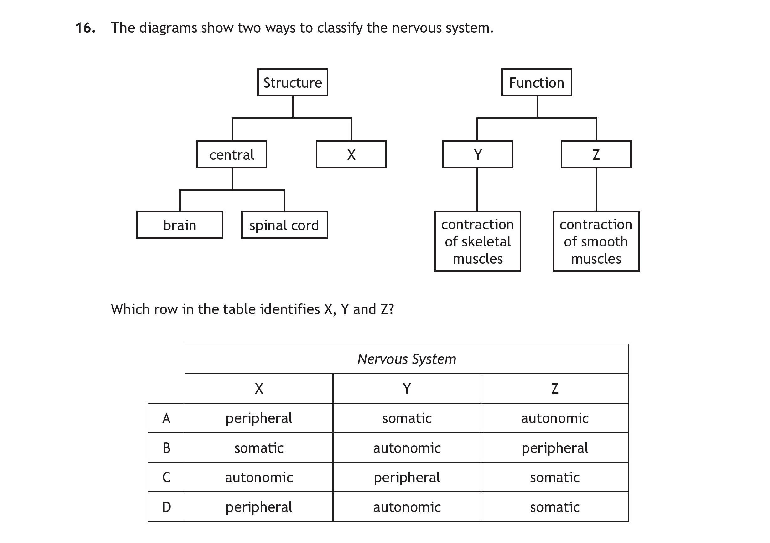 The-diagrams-show-two-ways-to-classify-the-nervous-system-Scottish Highers Human Biology-Question 16-2018.png