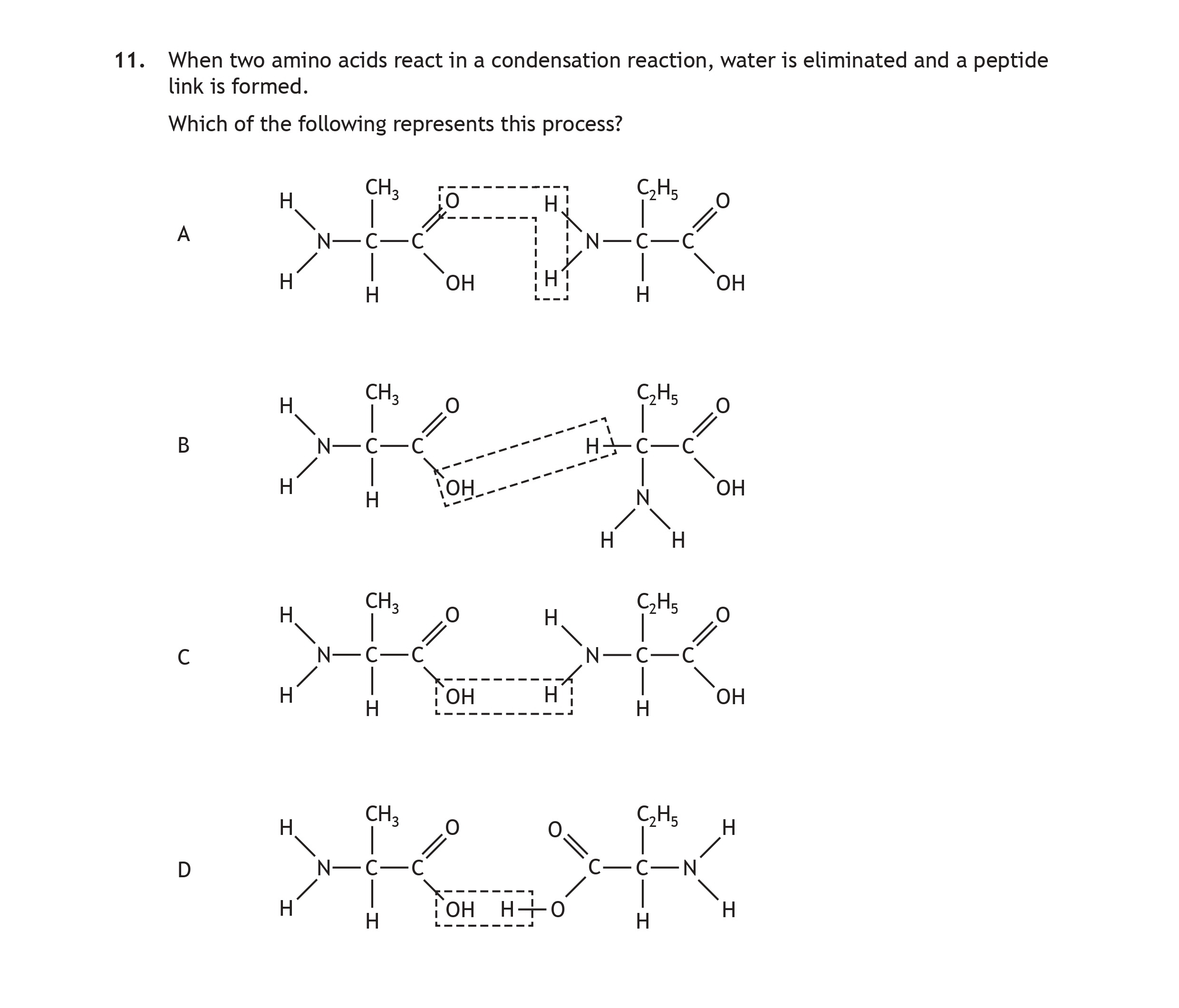 When-two-amino-acids-react-in-a-condensation-reaction,-water-is-eliminated-and-a-peptide-link-is-formed-Scottish Highers Chemistry-Question 11-2023.png