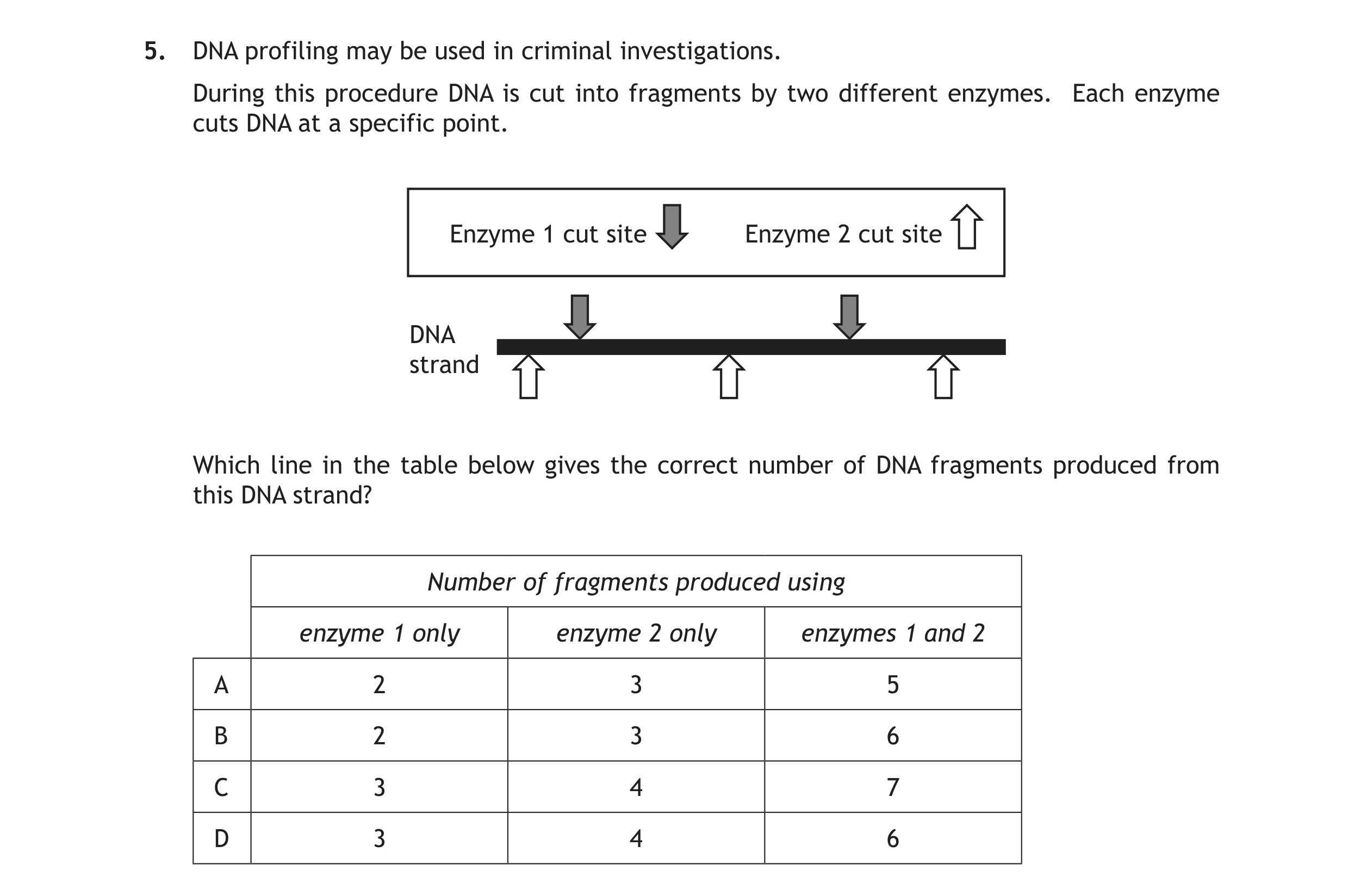 DNA-profiling-may-be-used-in-criminal-investigations-Scottish Highers Human Biology-Question 5-2015.png