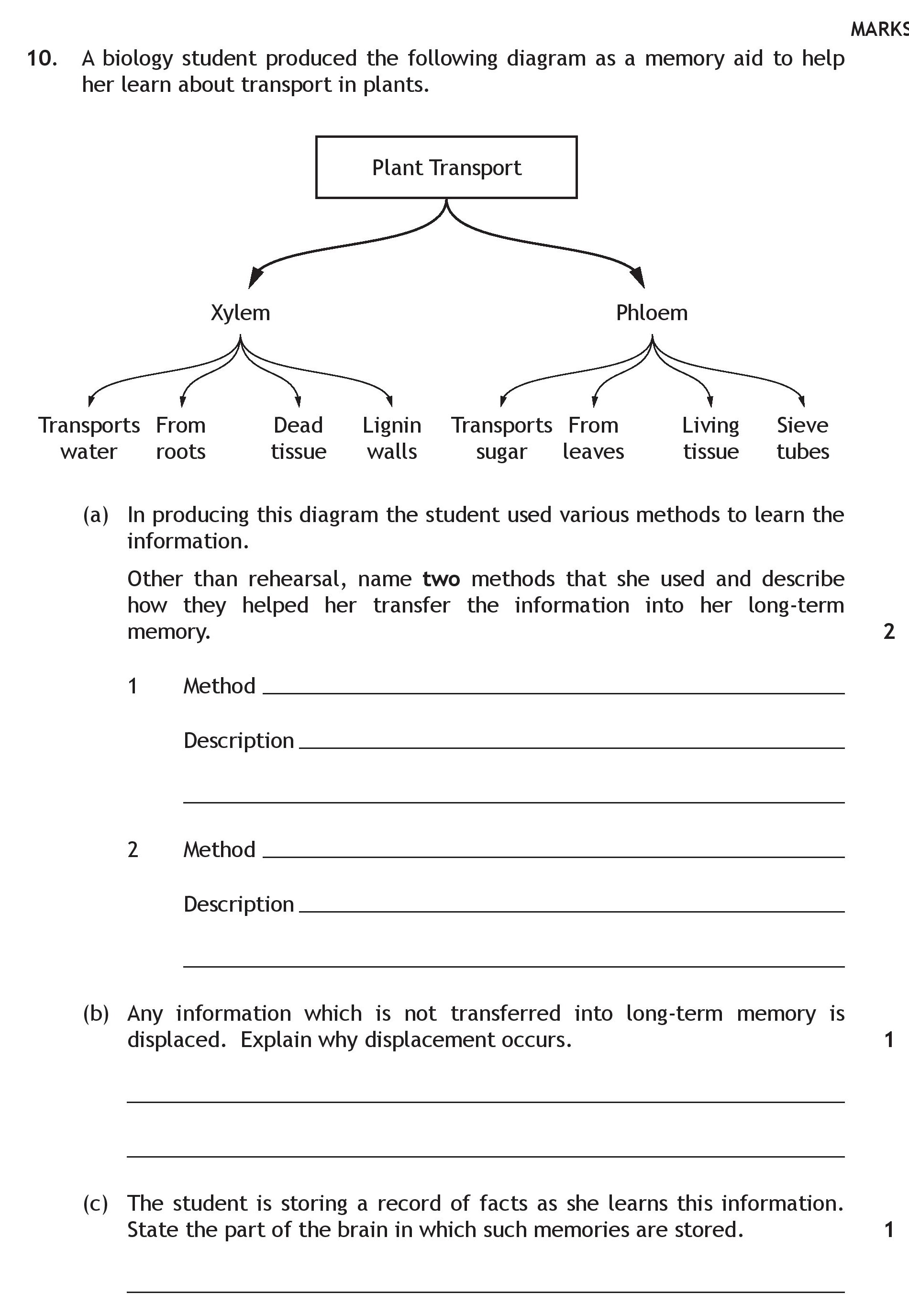 A-biology-student-produced-the-following-diagram-as-a-memory-aid-to-help-her-learn-about-transport-in-plants-Scottish Highers Human Biology-Question 10-2015.png