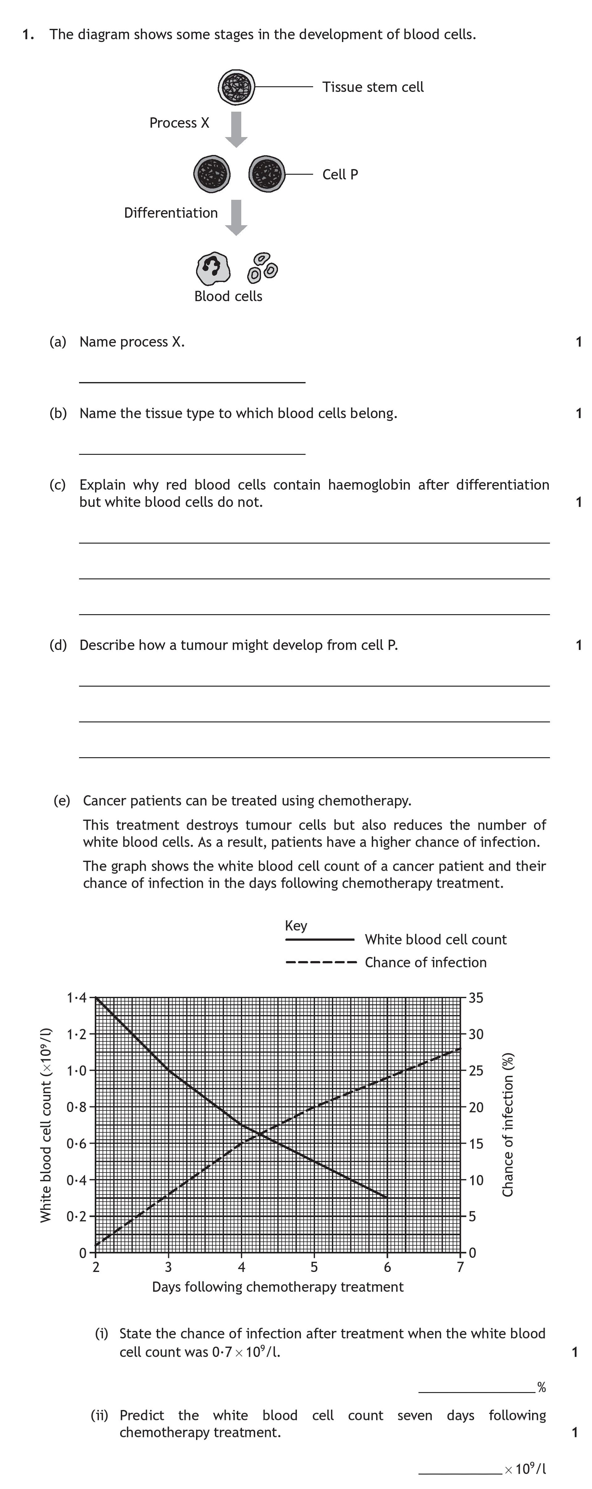 The-diagram-shows-some-stages-in-the-development-of-blood-cells-Scottish Highers Human Biology-Question 1-2017.png