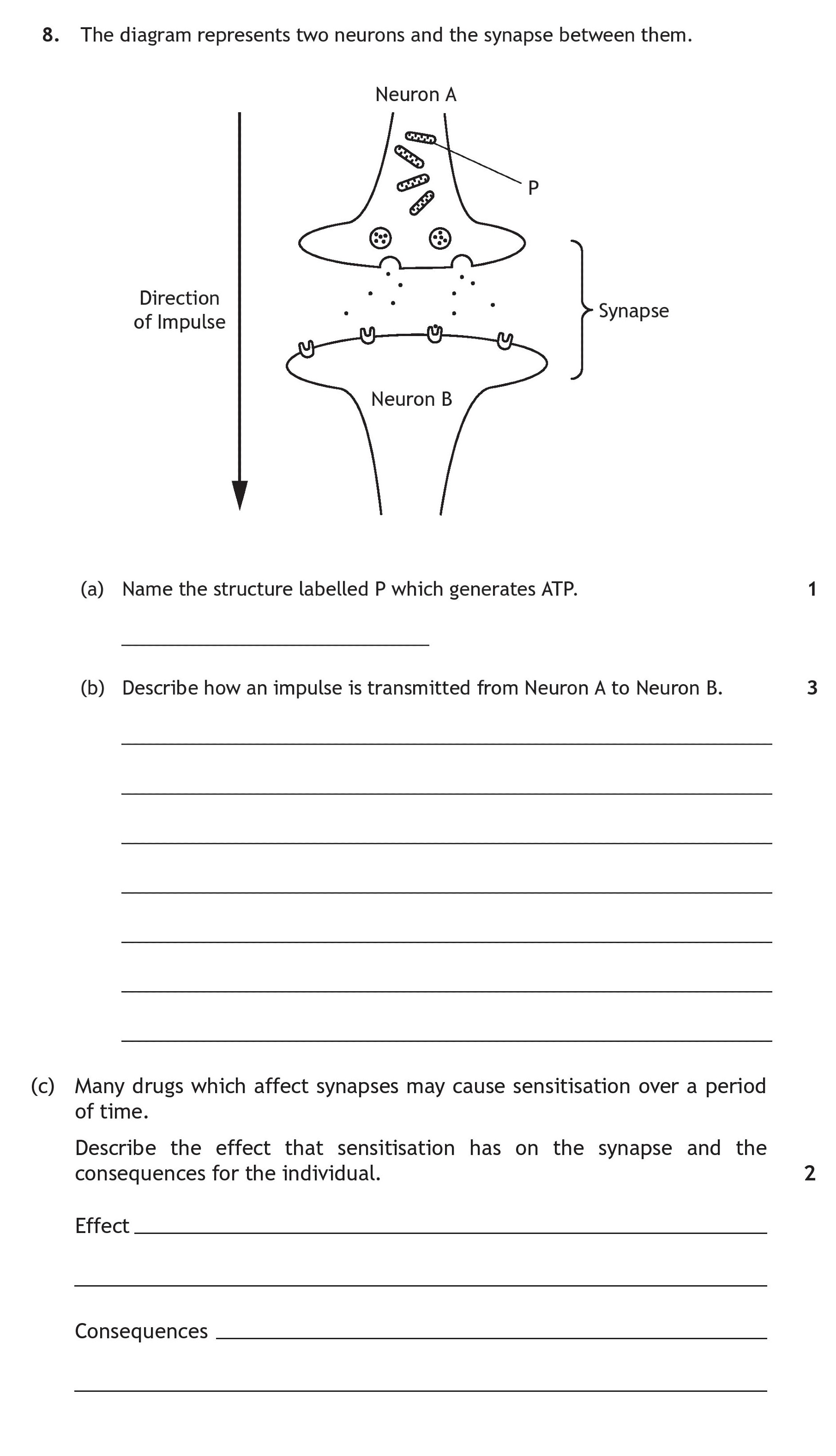 The-diagram-represents-two-neurons-and-the-synapse-between-them-Scottish Highers Human Biology-Question 8-2017.png