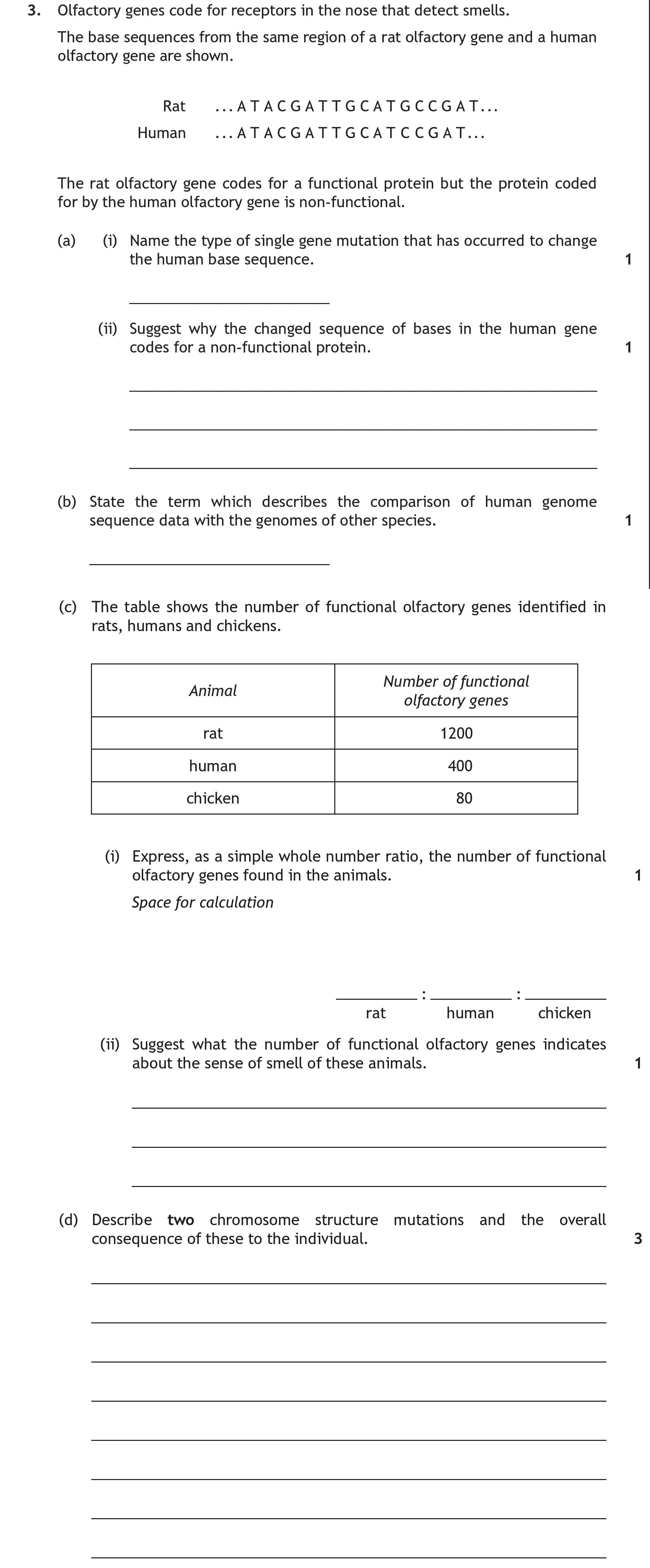 Olfactory-genes-code-for-receptors-in-the-nose-that-detect-smells-Scottish Highers Human Biology-Question 3-2018.png