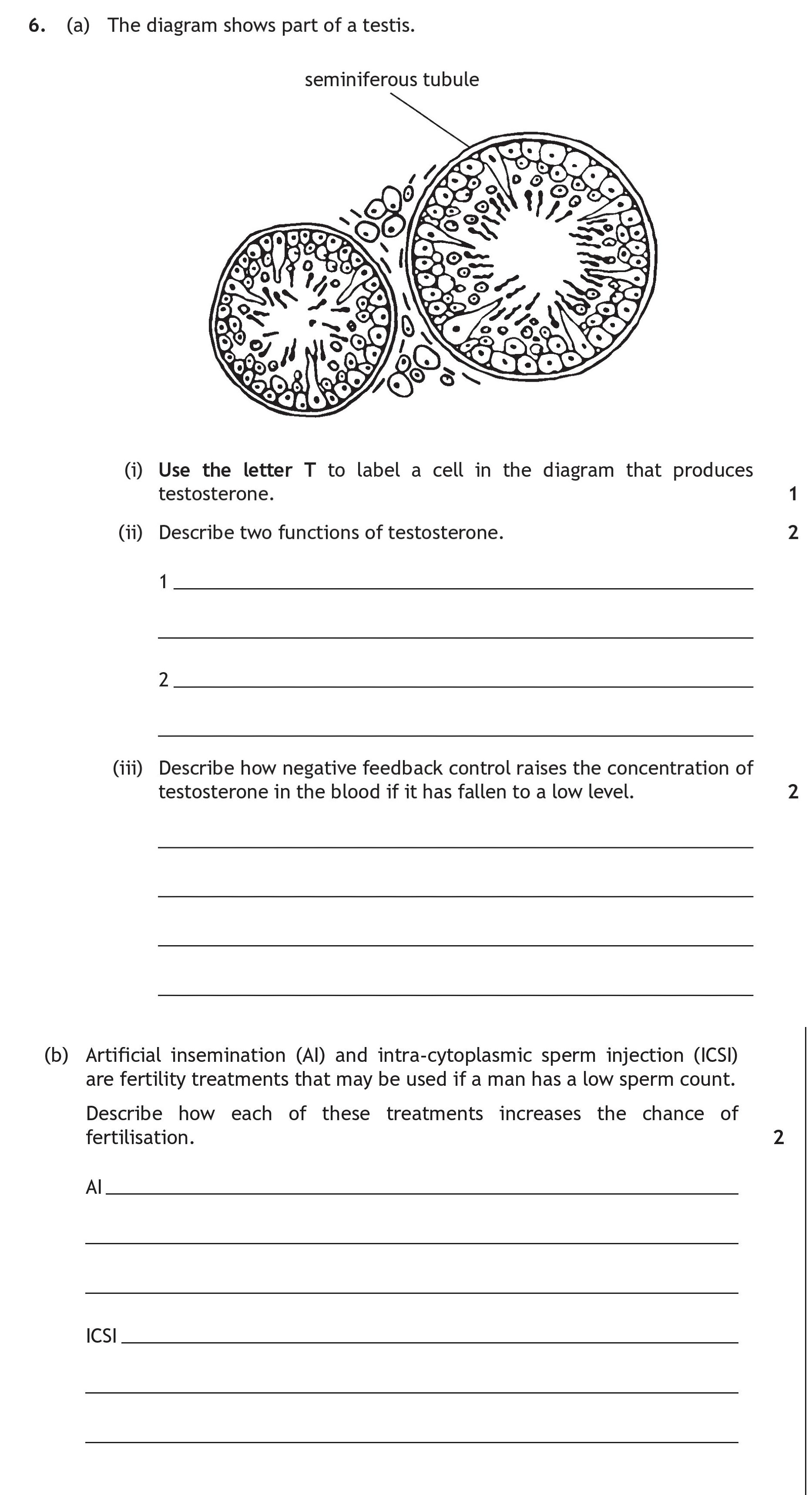 6.-(a)-The-diagram-shows-part-of-a-testis-Scottish Highers Human Biology-Question 6-2019.png