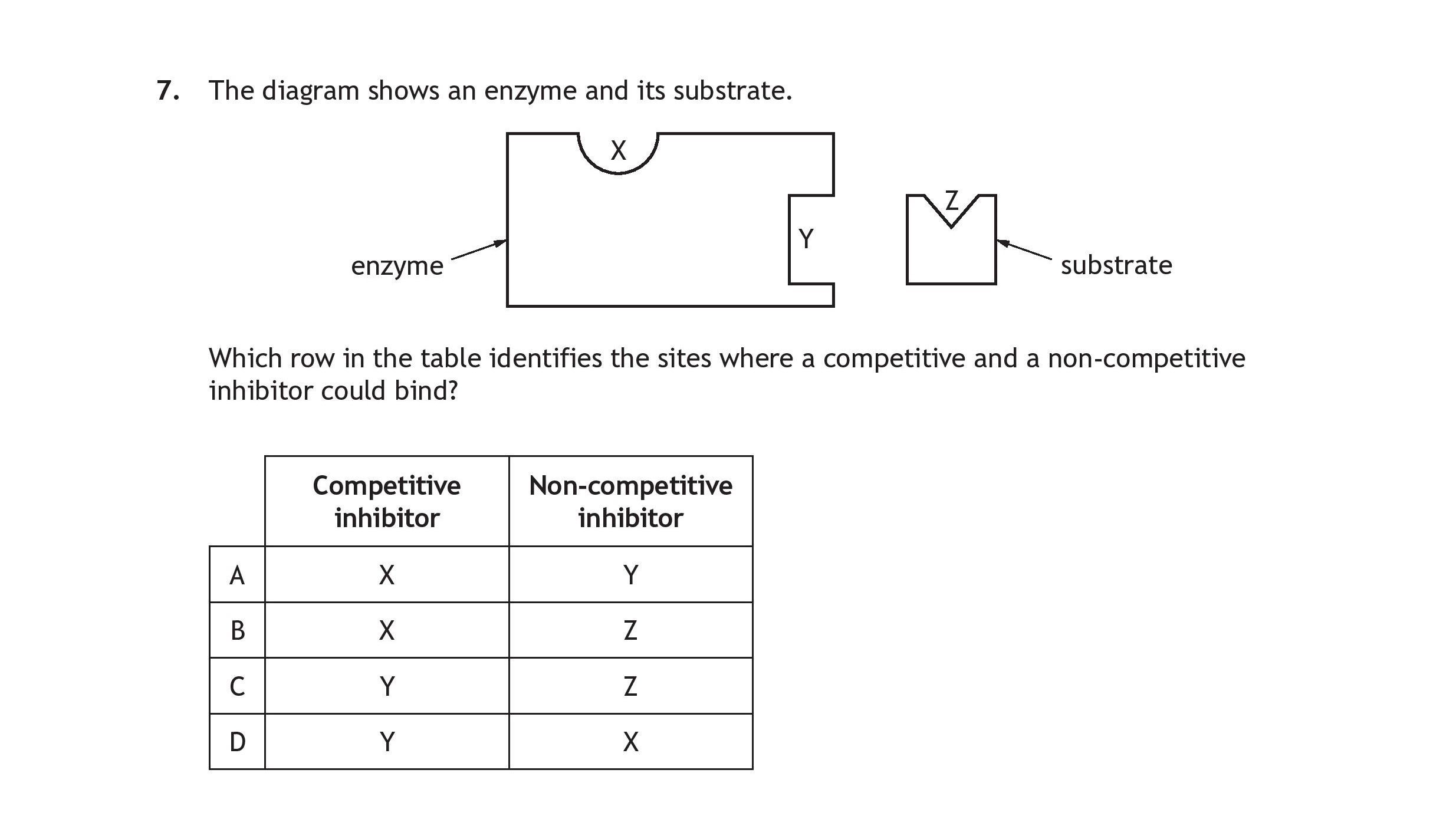 The-diagram-shows-an-enzyme-and-its-substrate-Scottish Highers Human Biology-Question 7-2022.png