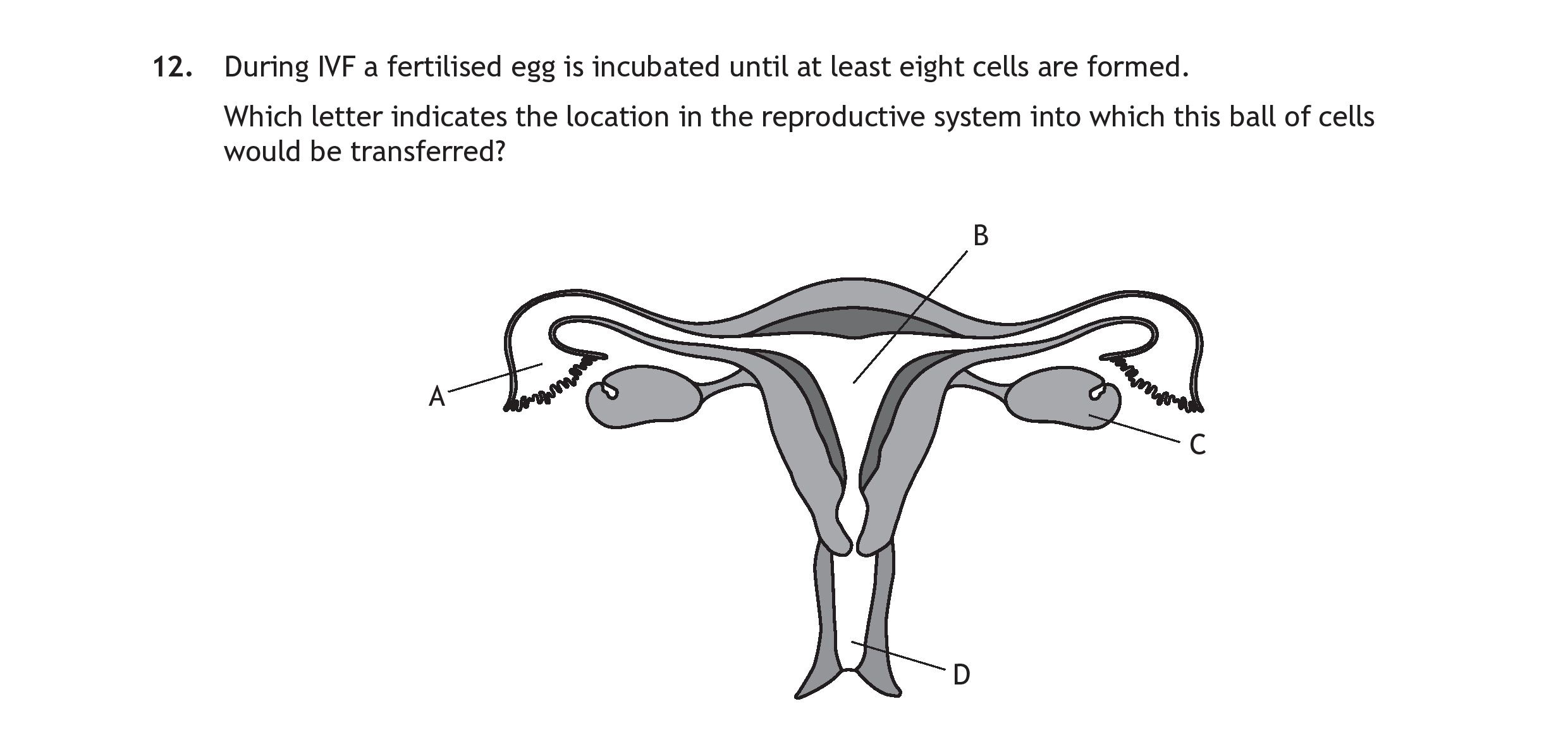During-IVF-a-fertilised-egg-is-incubated-until-at-least-eight-cells-are-formed-Scottish Highers Human Biology-Question 12-2022.png