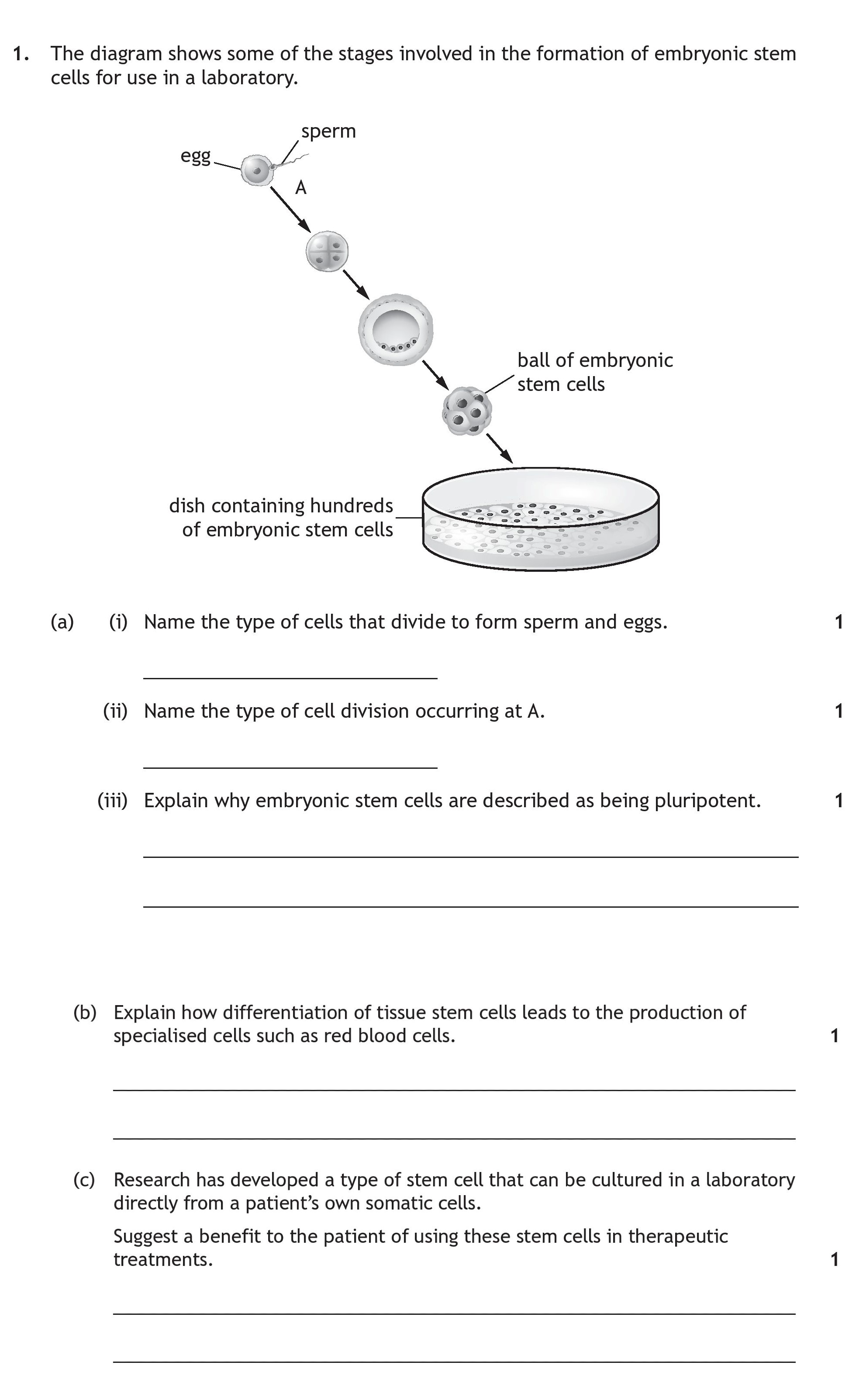 The-diagram-shows-some-of-the-stages-involved-in-the-formation-of-embryonic-stem-cells-for-use-in-a-laboratory-Scottish Highers Human Biology-Question 1-2022.png