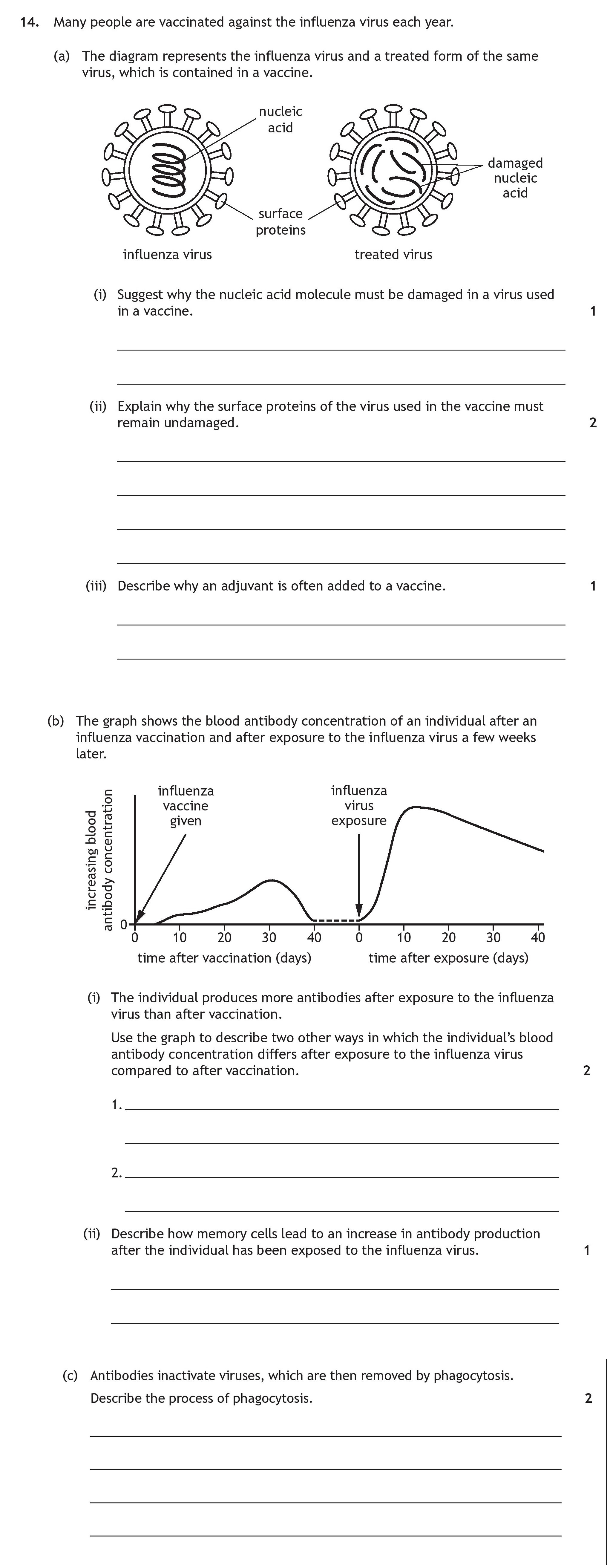 14.-Many-people-are-vaccinated-against-the-influenza-virus-each-year-Scottish Highers Human Biology-Question 14-2022.png