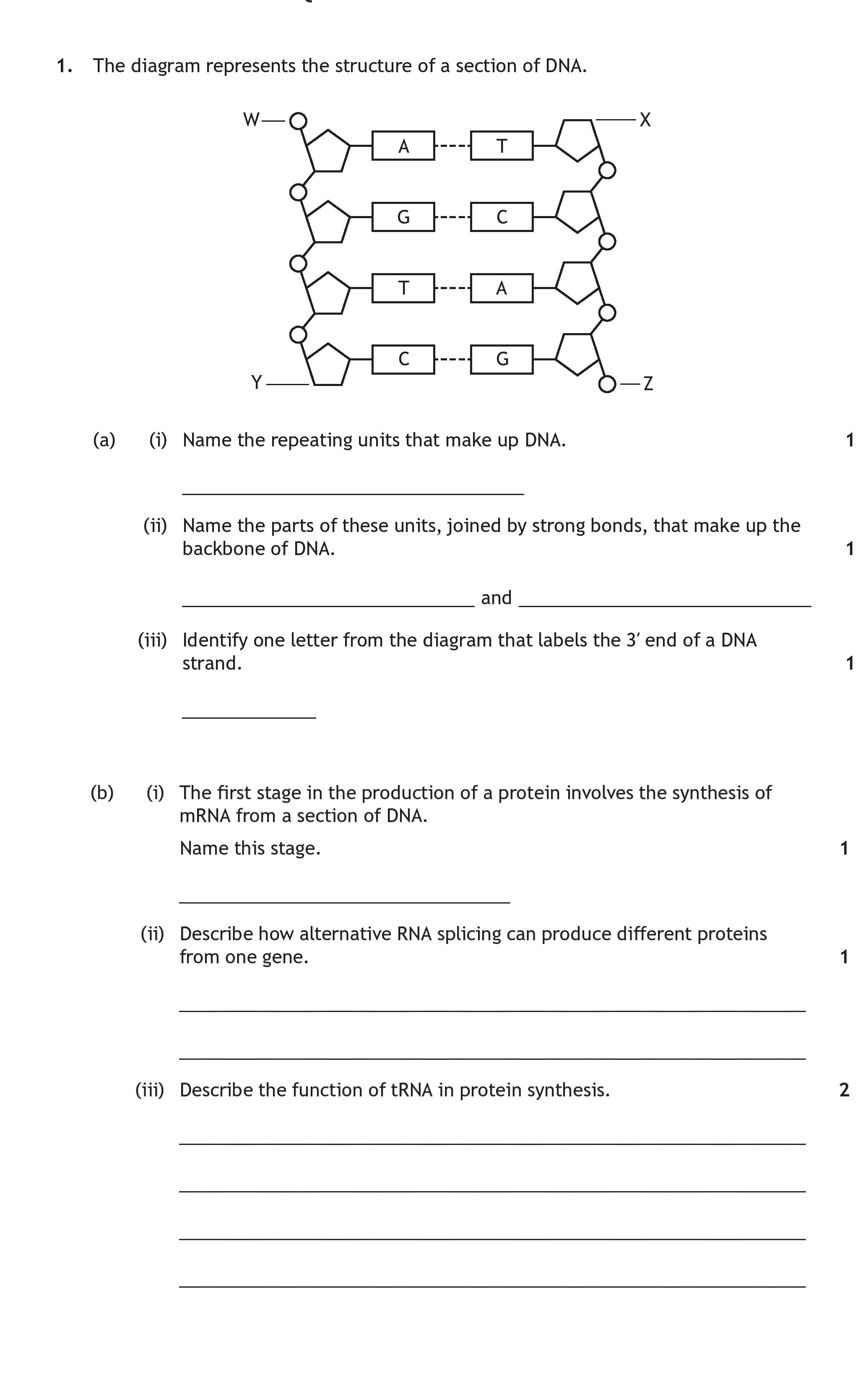 1.-The-diagram-represents-the-structure-of-a-section-Scottish Highers Human Biology-Question 1-2023.png