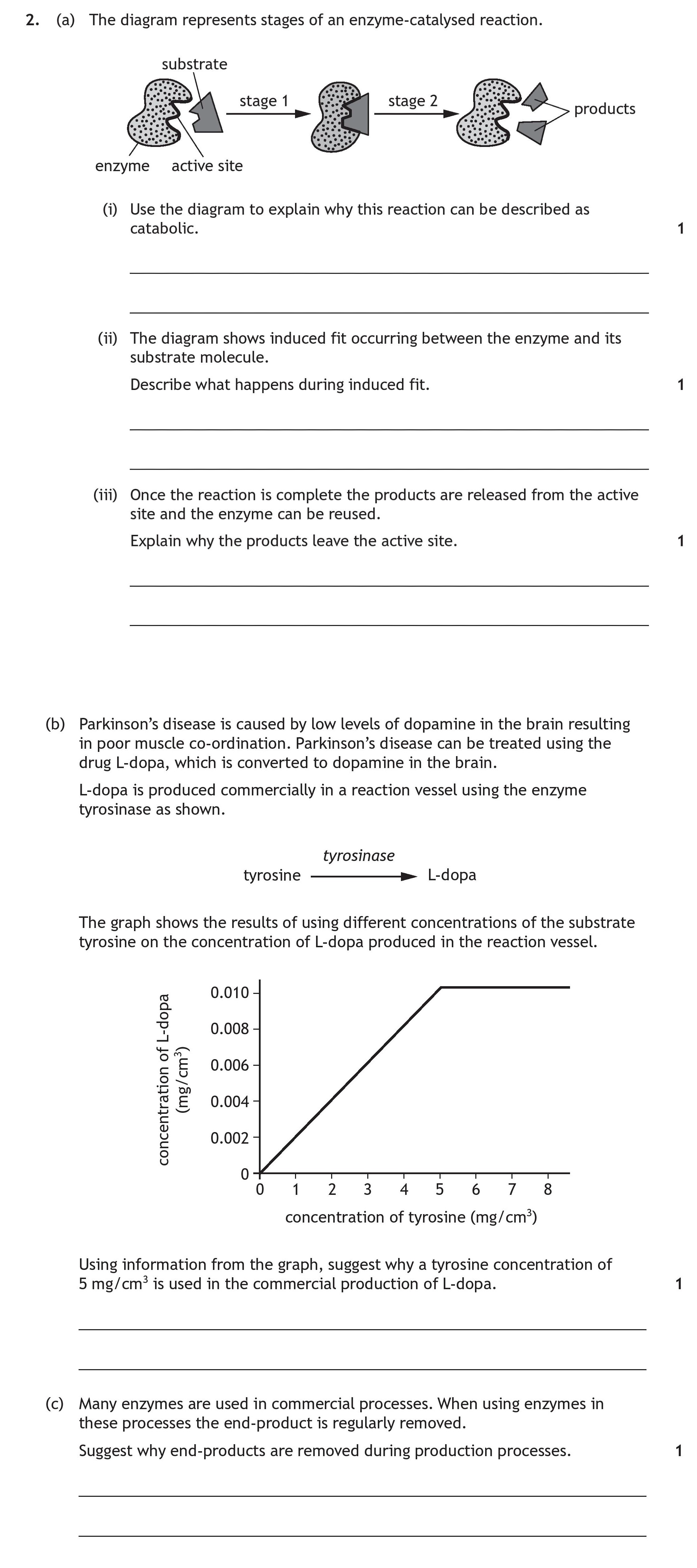The-diagram-represents-stages-of-an-enzyme-catalysed-reaction-Scottish Highers Human Biology-Question 2-2023.png