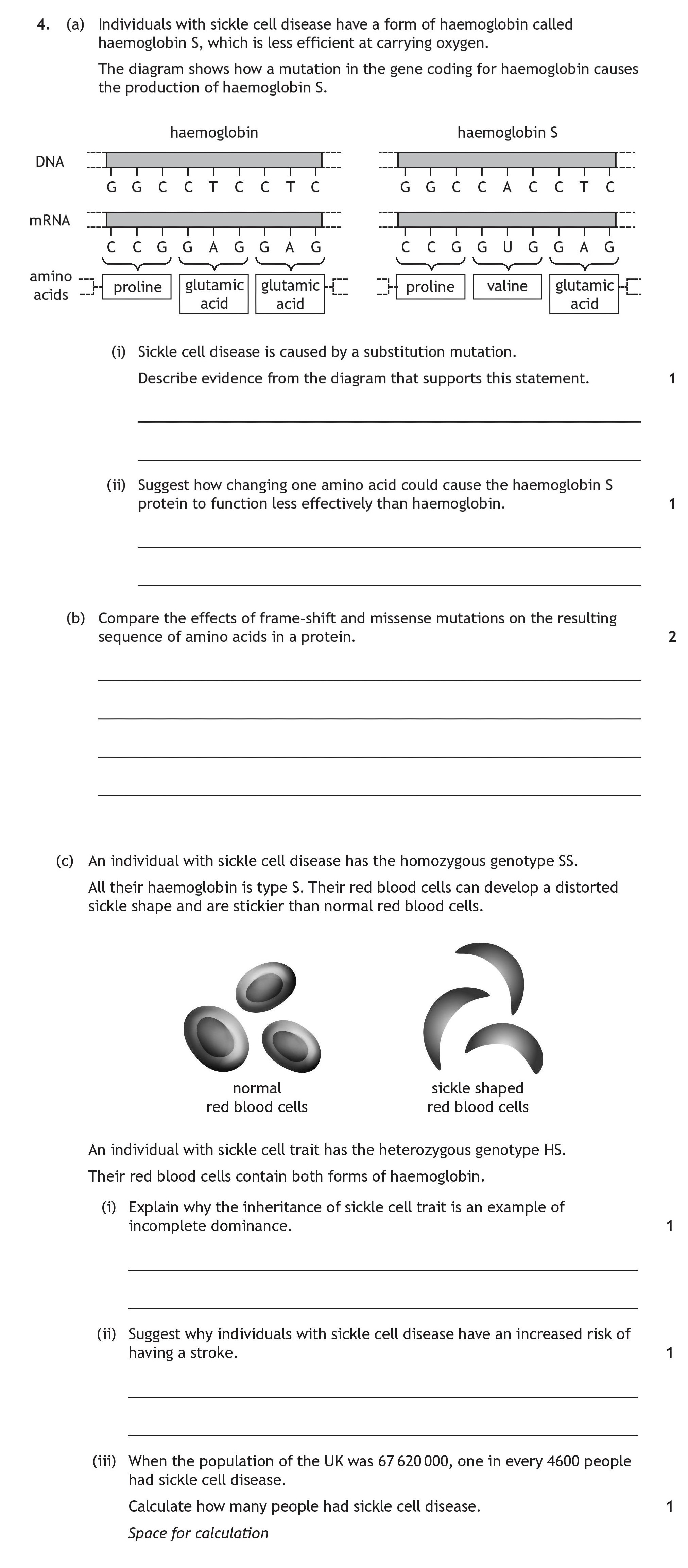 Individuals-with-sickle-cell-disease-have-a-form-of-haemoglobin-called-haemoglobin-S,-which-is-less-efficient-at-carrying-oxygen-Scottish Highers Human Biology-Question 4-2023.png