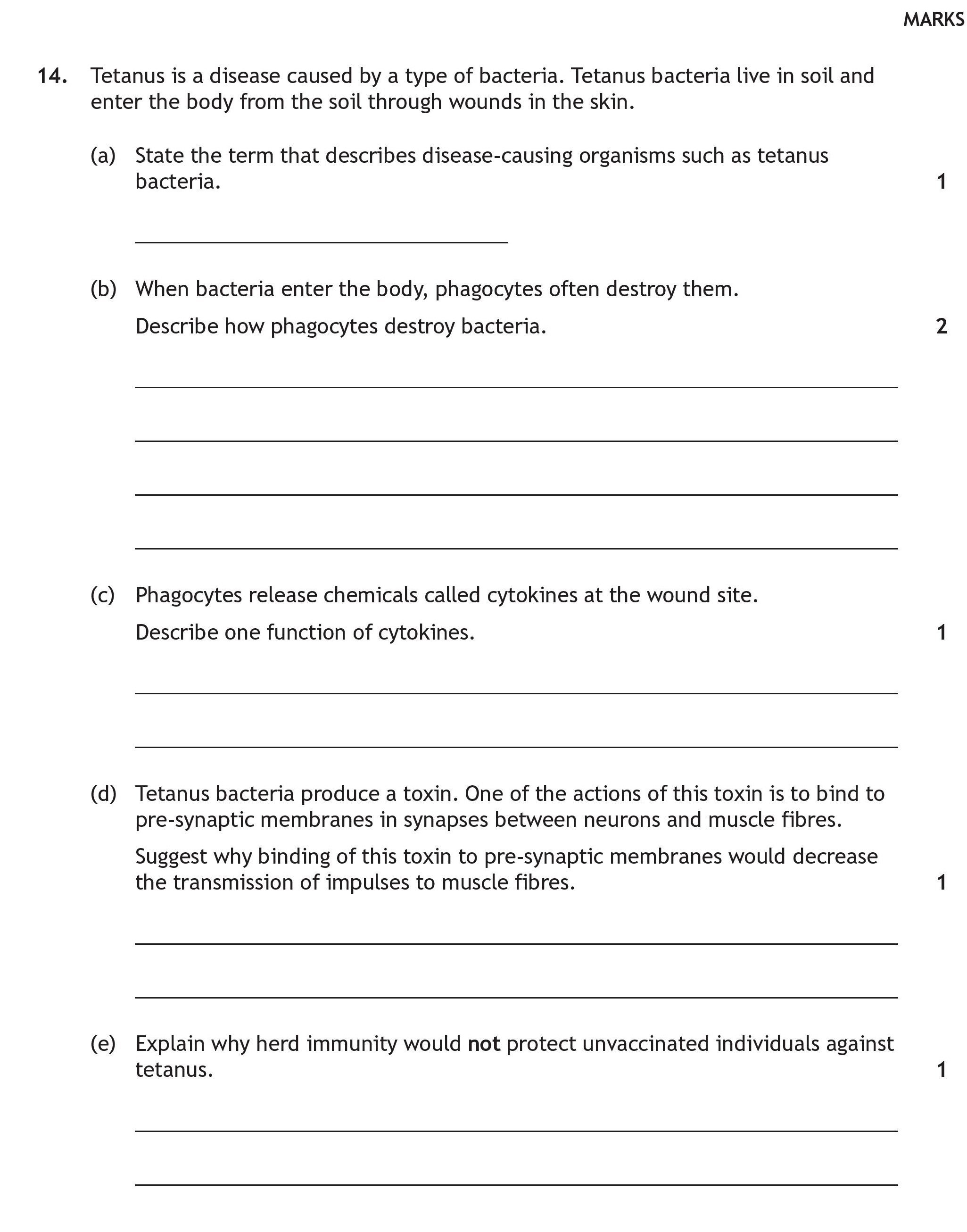 Tetanus-is-a-disease-caused-by-a-type-of-bacteria-Scottish Highers Human Biology-Question 14-2023.png