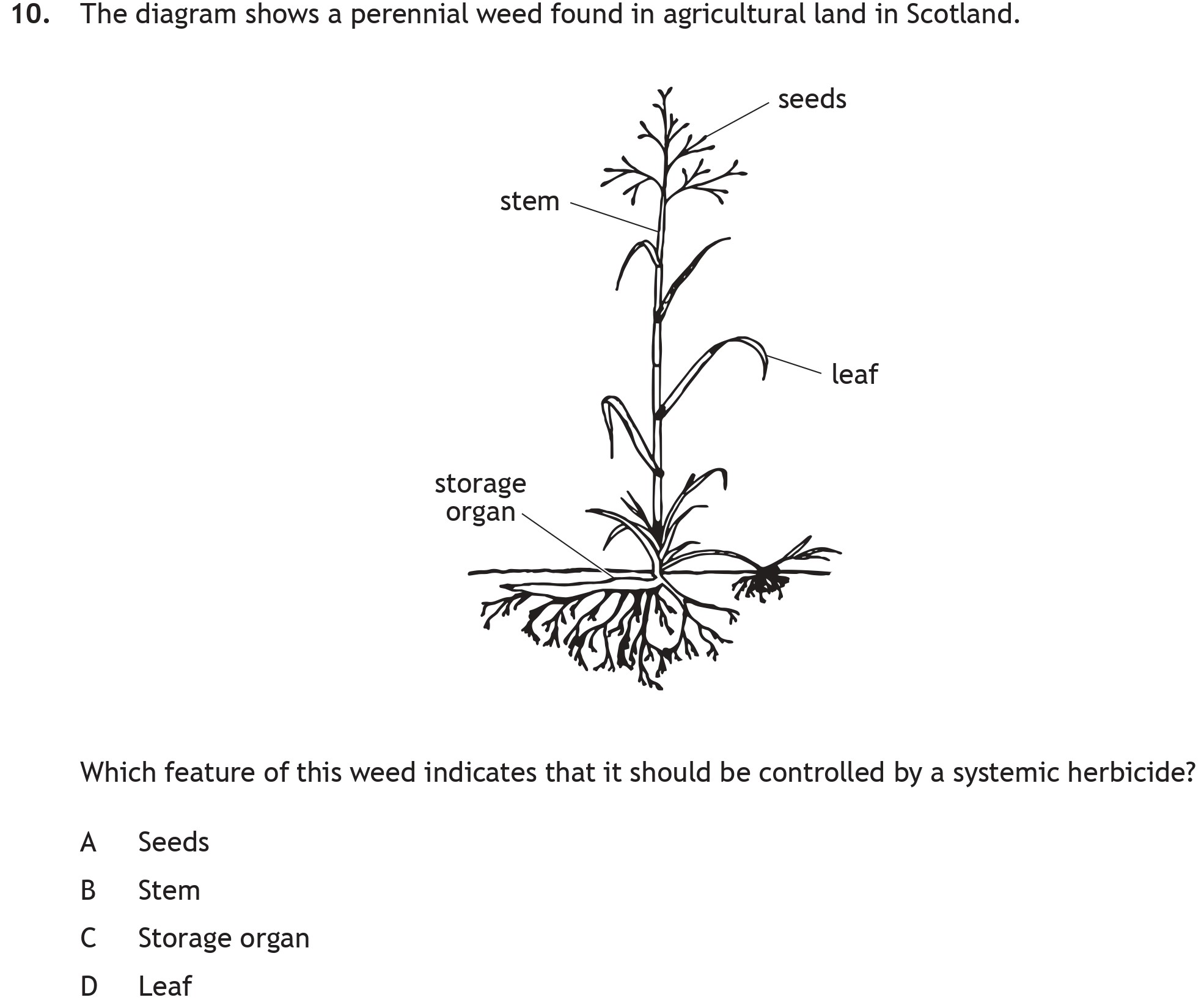 The-diagram-shows-a-perennial-weed-found-in-agricultural-land-in-Scotland-Scottish Highers Biology-Question 10-2018.png