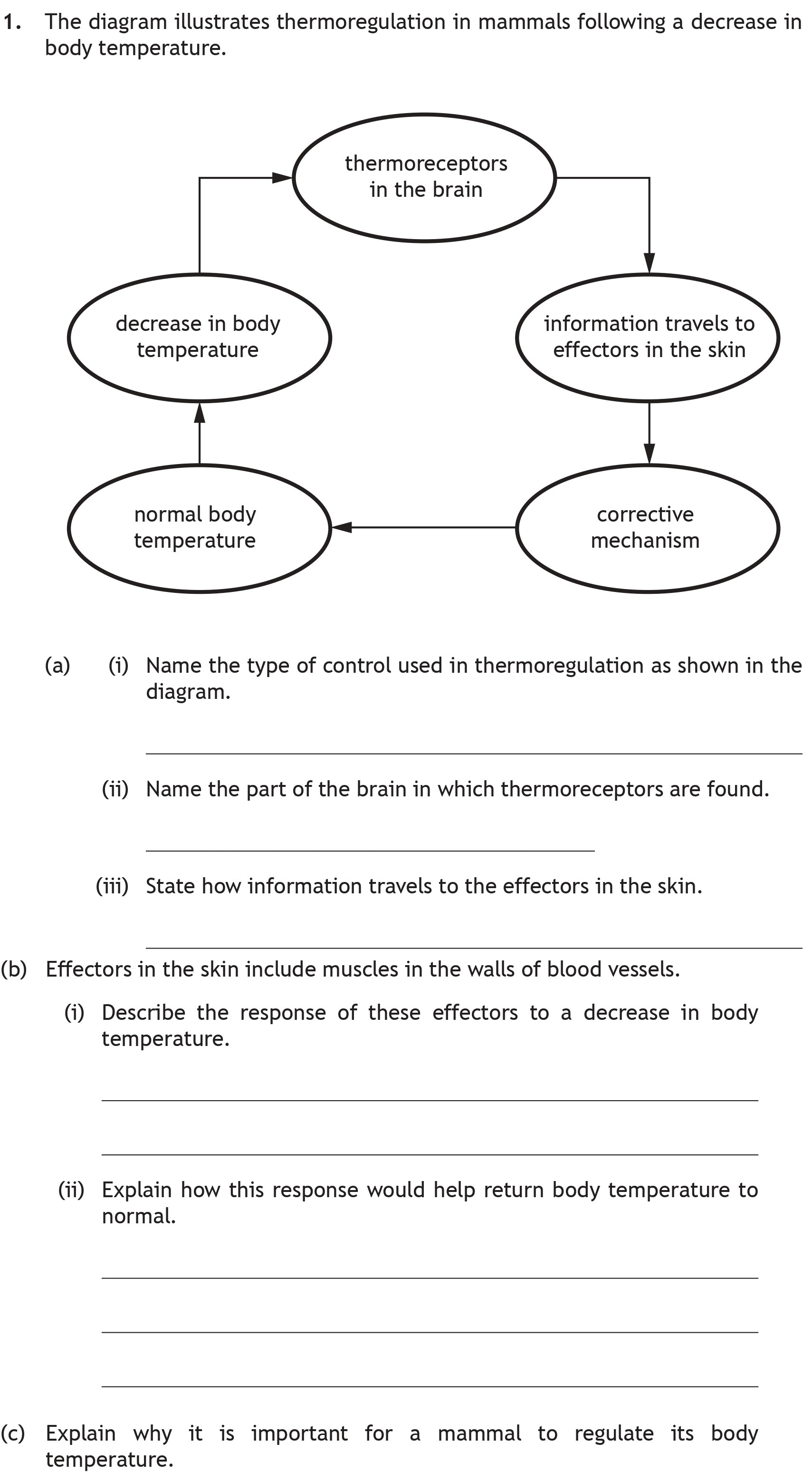 The-diagram-illustrates-thermoregulation-in-mammals-following-a-decrease-in-body-temperature-Scottish Highers Biology-Question 1-2018.png