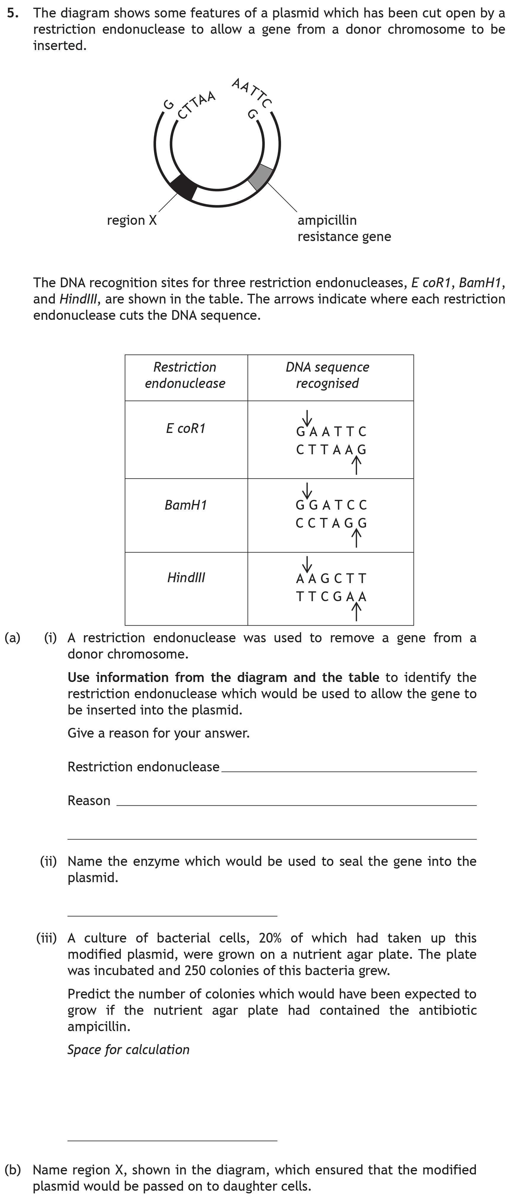 The-diagram-shows-some-features-of-a-plasmid-which-has-been-cut-open-by-a-restriction-endonuclease-to-allow-a-gene-from-a-donor-chromosome-to-be-inserted-Scottish Highers Biology-Question 5-2018.png