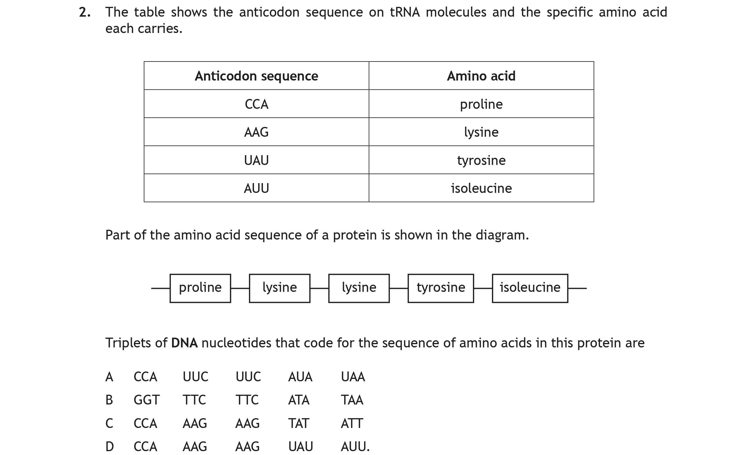 The-table-shows-the-anticodon-sequence-on-tRNA-molecules-and-the-specific-amino-acid-each-carries-Scottish Highers Biology-Question 2-2019.png