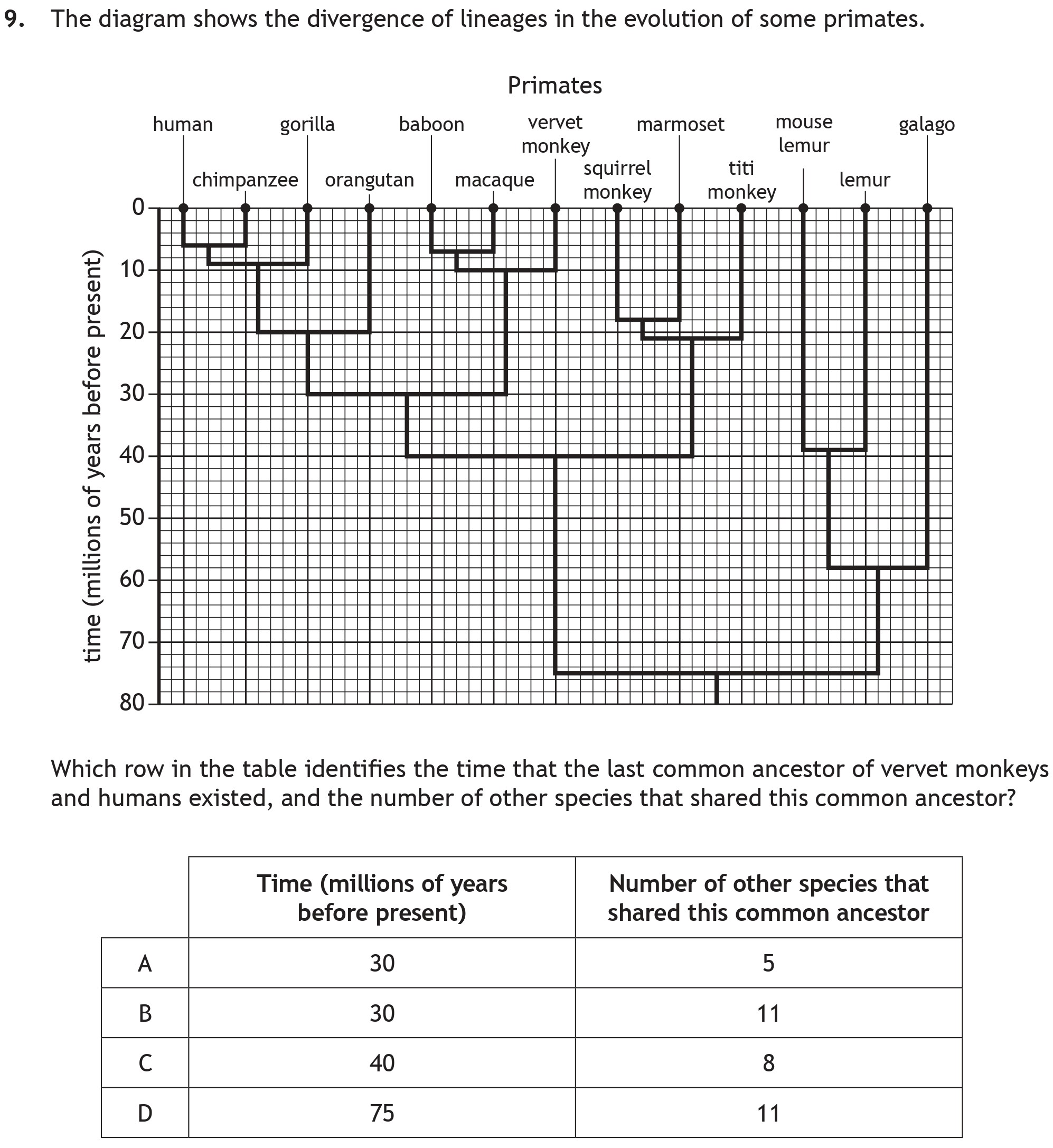 The-diagram-shows-the-divergence-of-lineages-in-the-evolution-of-some-primates-Scottish Highers Biology-Question 9-2019.png