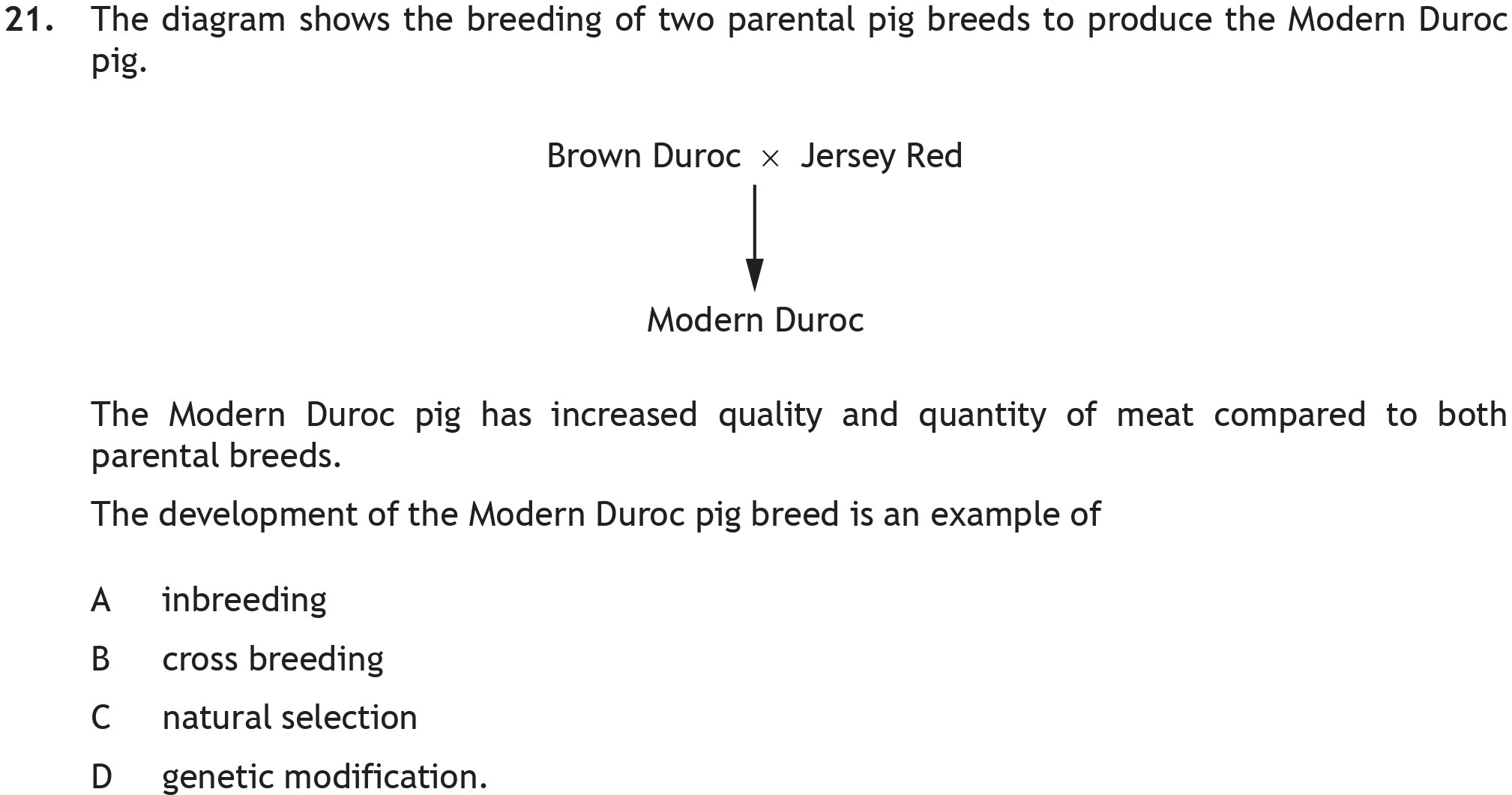 The-diagram-shows-the-breeding-of-two-parental-pig-breeds-to-produce-the-Modern-Duroc-pig-Scottish Highers Biology-Question 21-2019.png