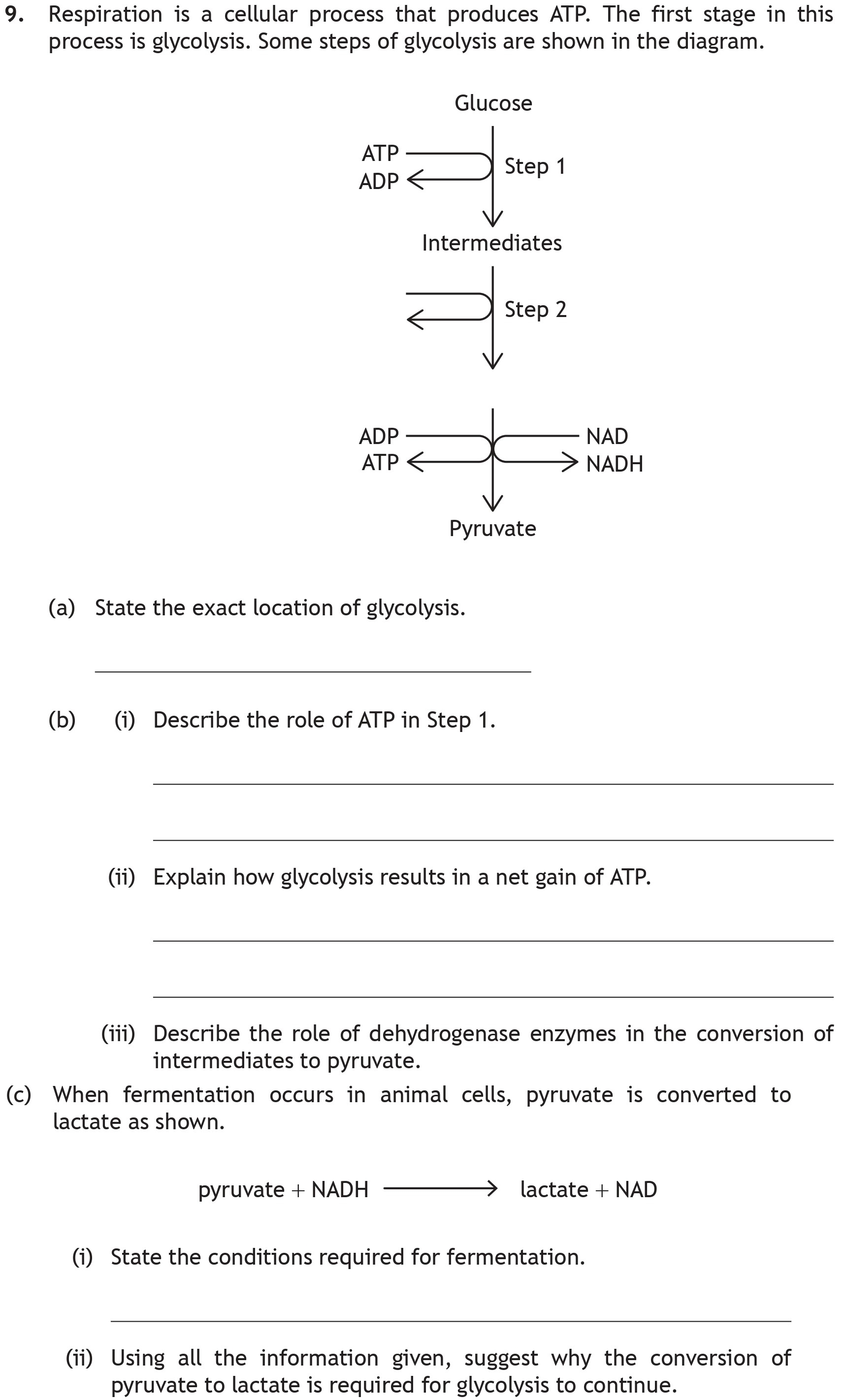 Respiration-is-a-cellular-process-that-produces-ATP-Scottish Highers Biology-Question 9-2019.png