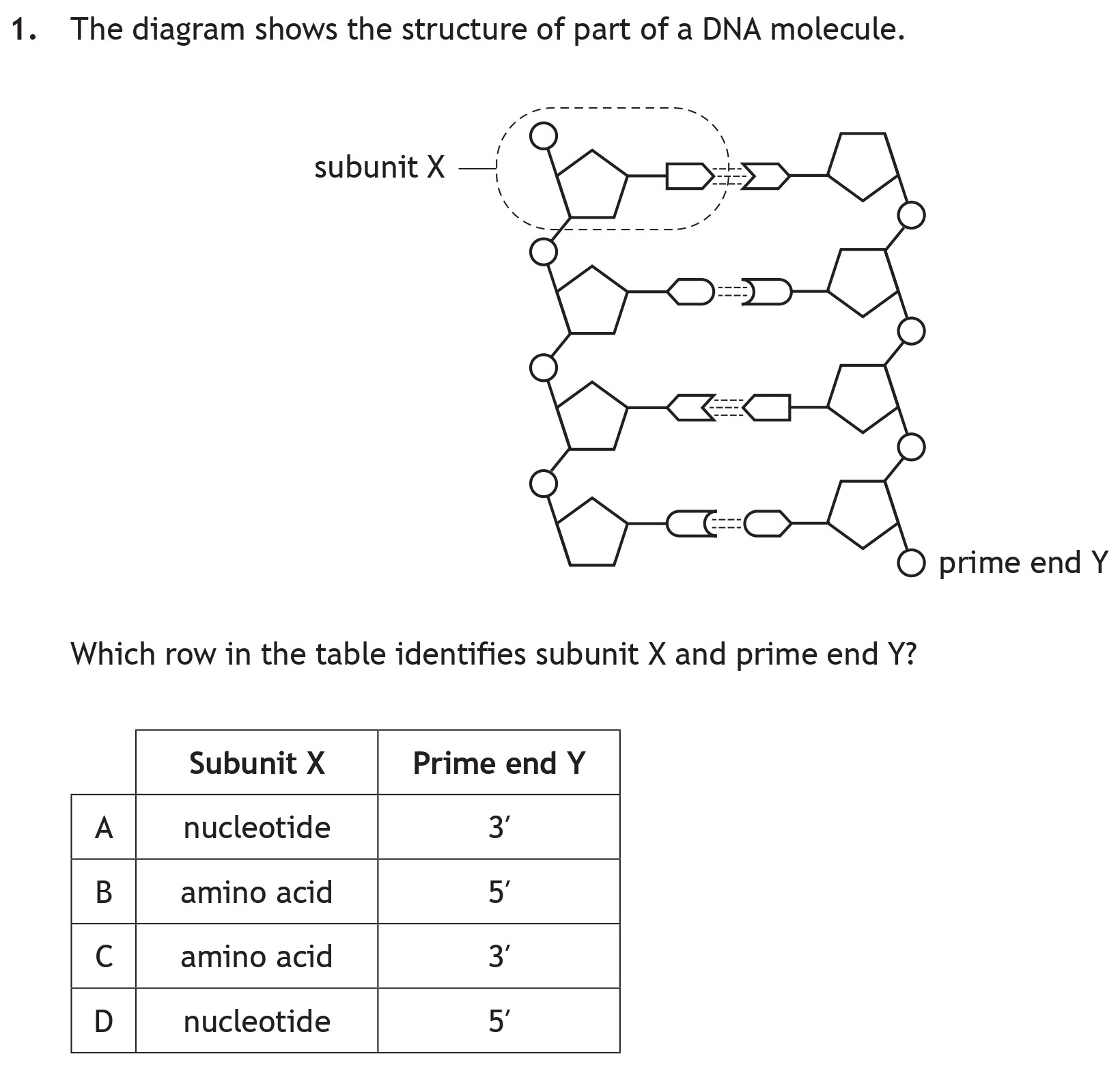 The-diagram-shows-the-structure-of-part-of-a-DNA-molecule-Scottish Highers Biology-Question 1-2022.png