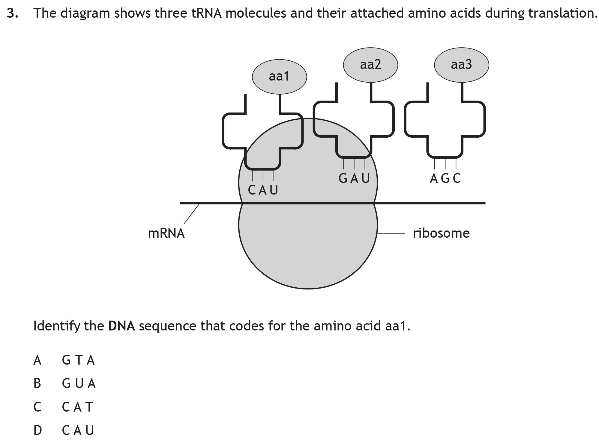 The-diagram-shows-three-tRNA-molecules-and-their-attached-amino-acids-during-translation-Scottish Highers Biology-Question 3-2022.png