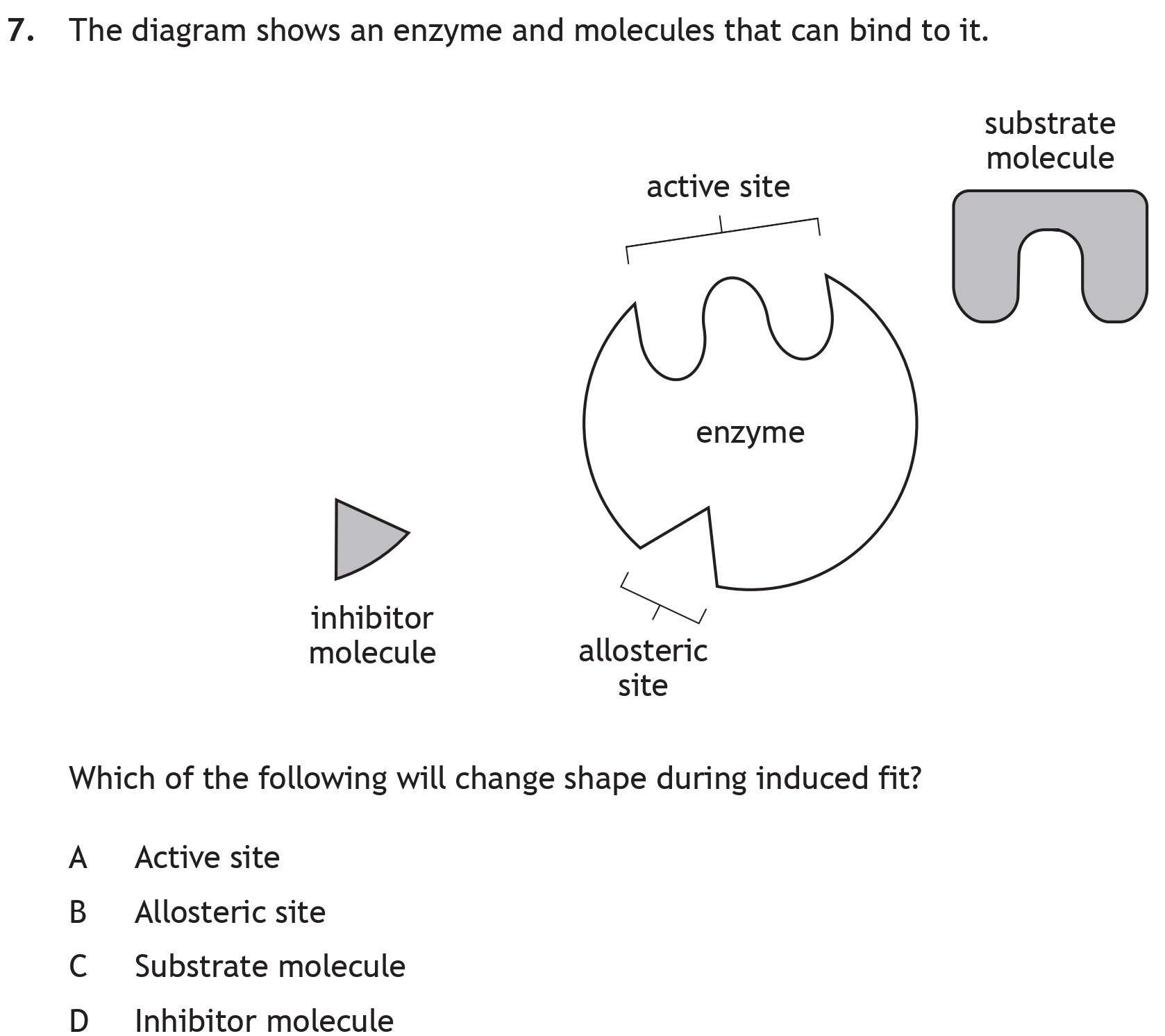 The-diagram-shows-an-enzyme-and-molecules-that-can-bind-to-it-Scottish Highers Biology-Question 7-2022.png