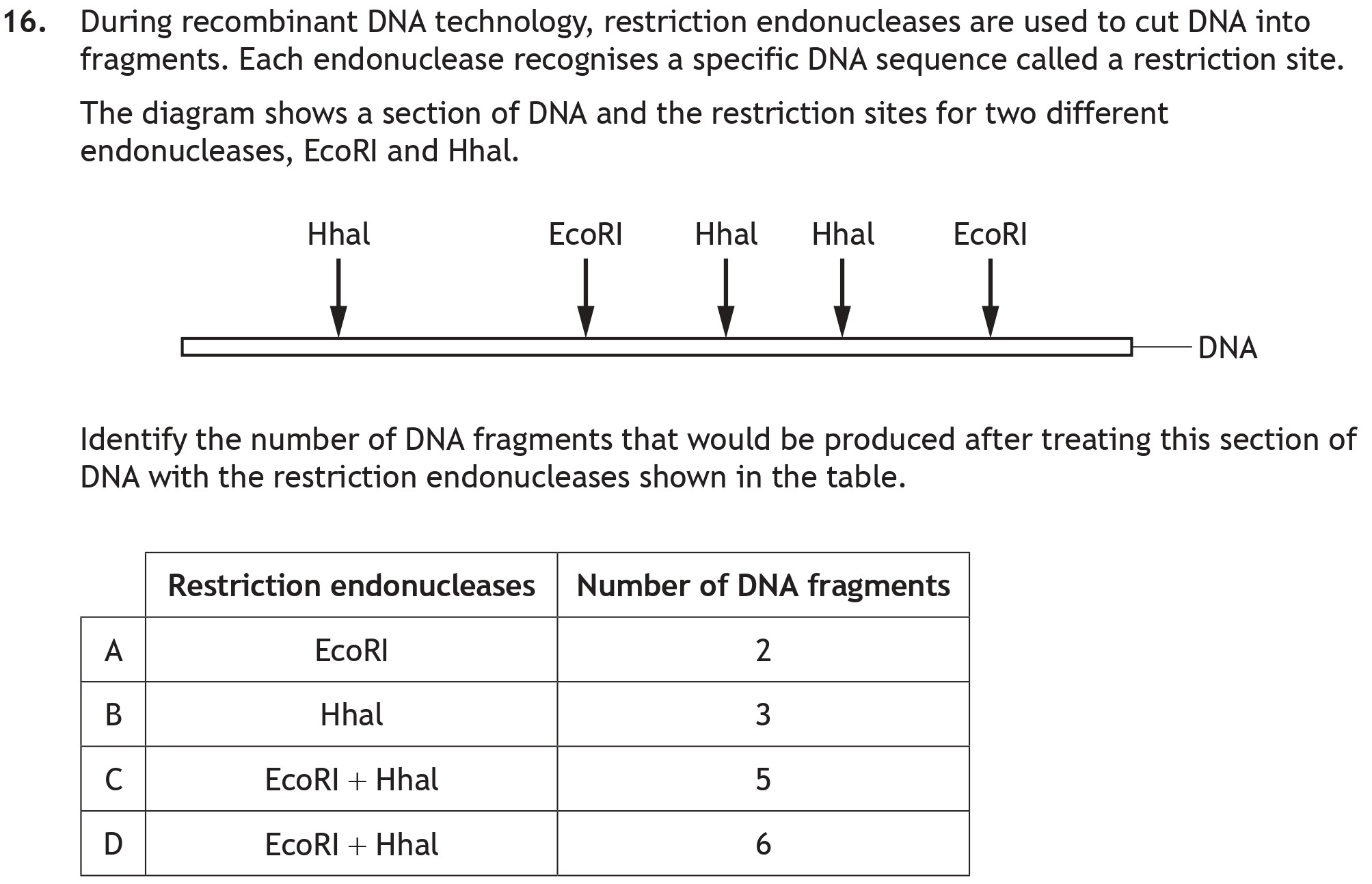 During-recombinant-DNA-technology,-restriction-endonucleases-are-used-to-cut-DNA-into-fragments-Scottish Highers Biology-Question 16-2022.png