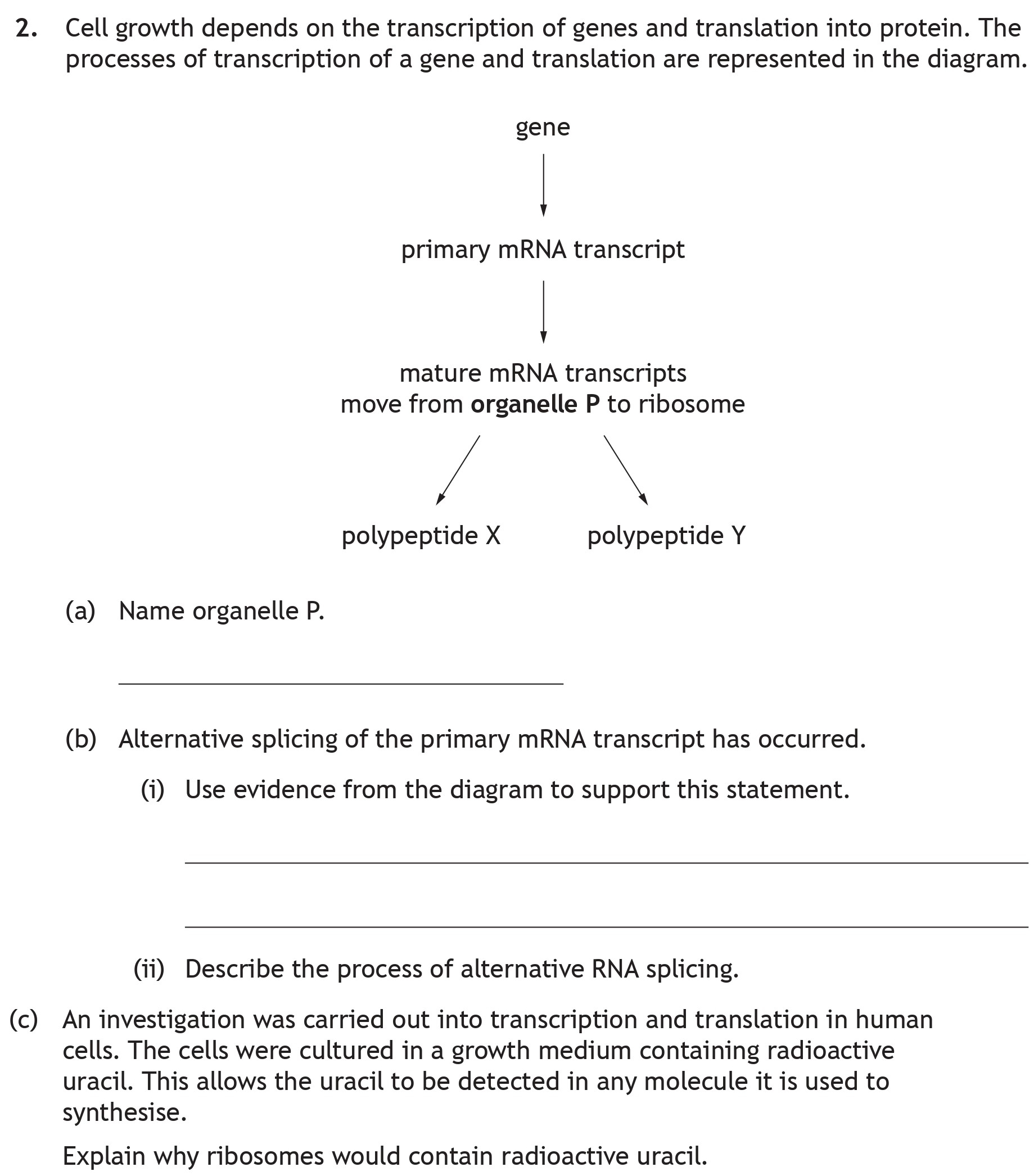 Cell-growth-depends-on-the-transcription-of-genes-and-translation-into-protein-Scottish Highers Biology-Question 2-2022.png
