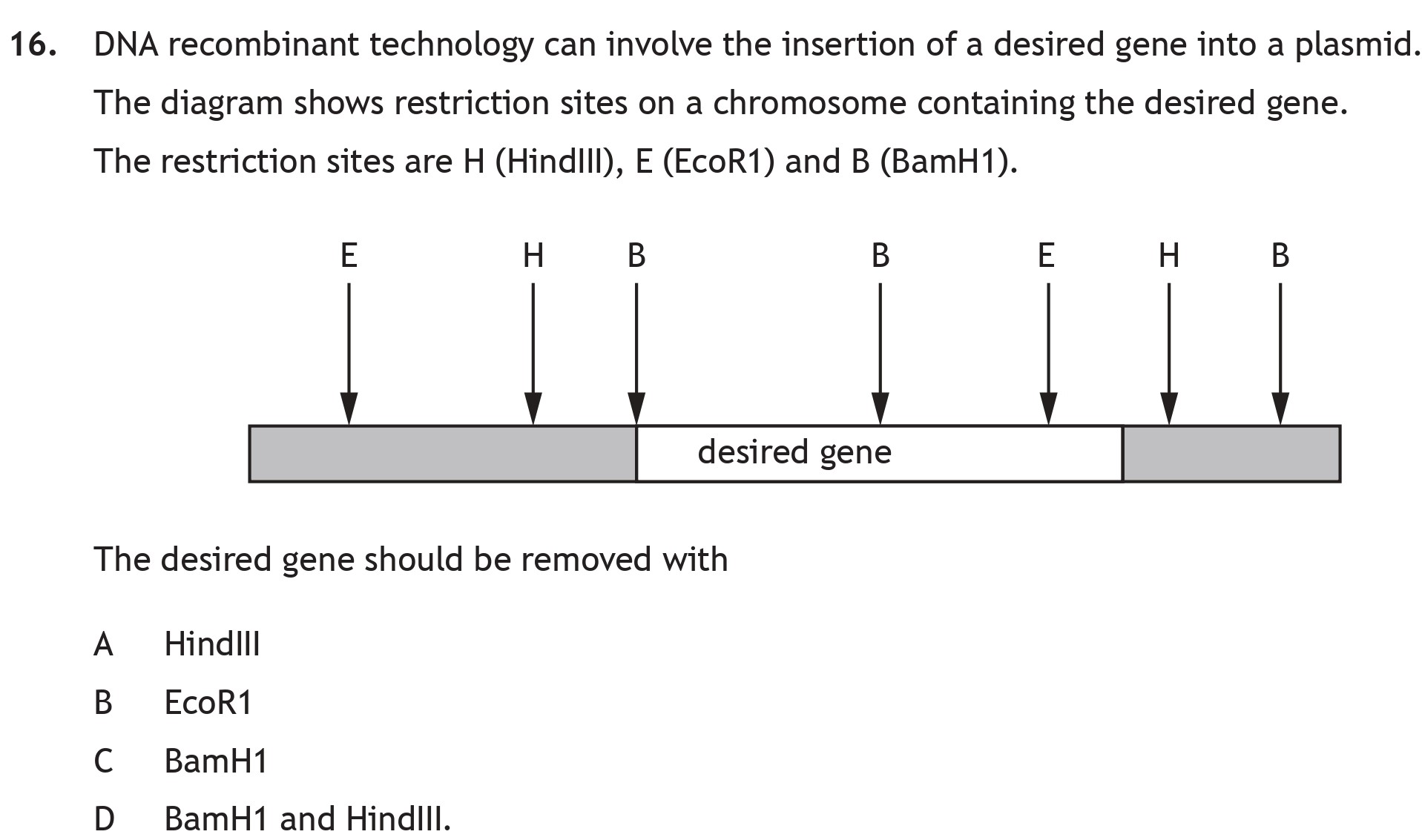 DNA-recombinant-technology-can-involve-the-insertion-of-a-desired-gene-into-a-plasmid-Scottish Highers Biology-Question 16-2023.png