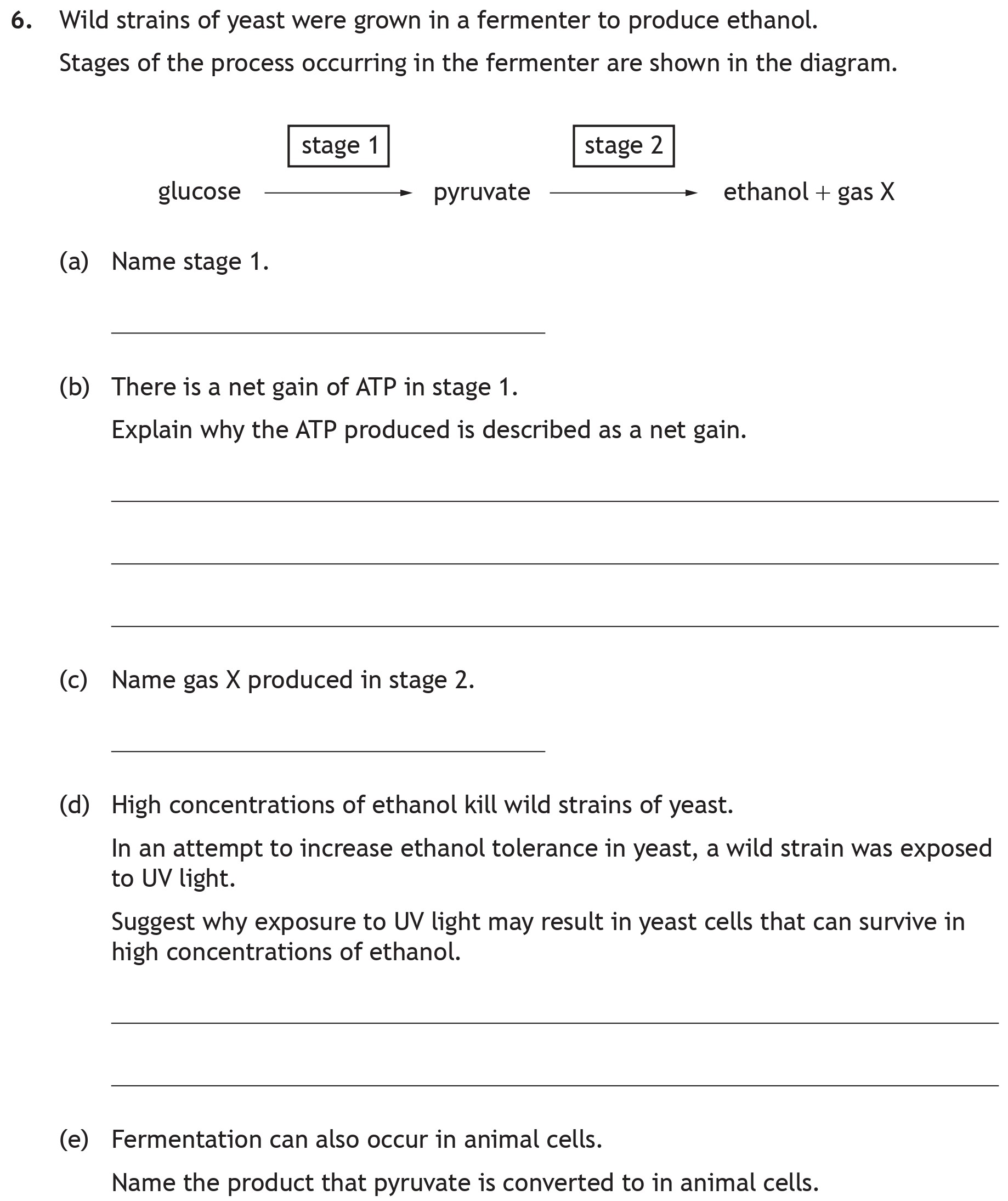 Wild-strains-of-yeast-were-grown-in-a-fermenter-to-produce-ethanol-Scottish Highers Biology-Question 6-2023.png