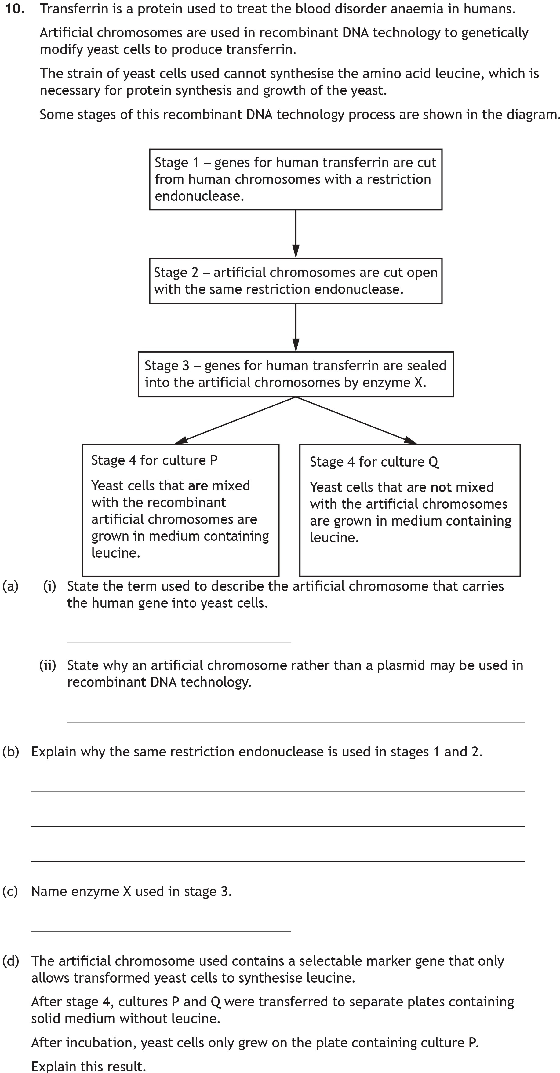 Transferin-is-a-protein-used-to-treat-the-blood-disorder-anaemia-in-humans-Scottish Highers Biology-Question 10-2023.png