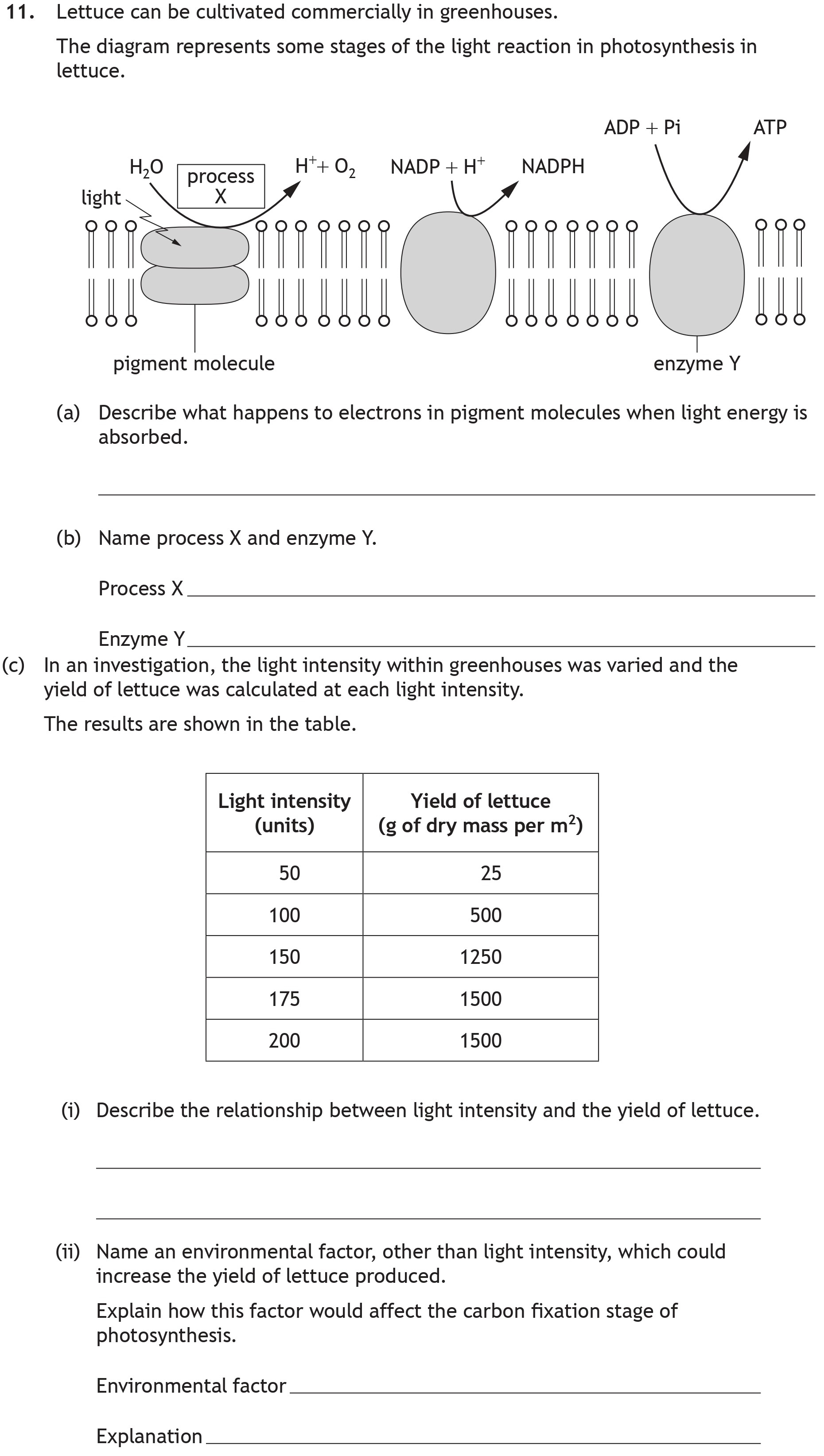 Lettuce-can-be-cultivated-commercially-in-greenhouses-Scottish Highers Biology-Question 11-2023.png