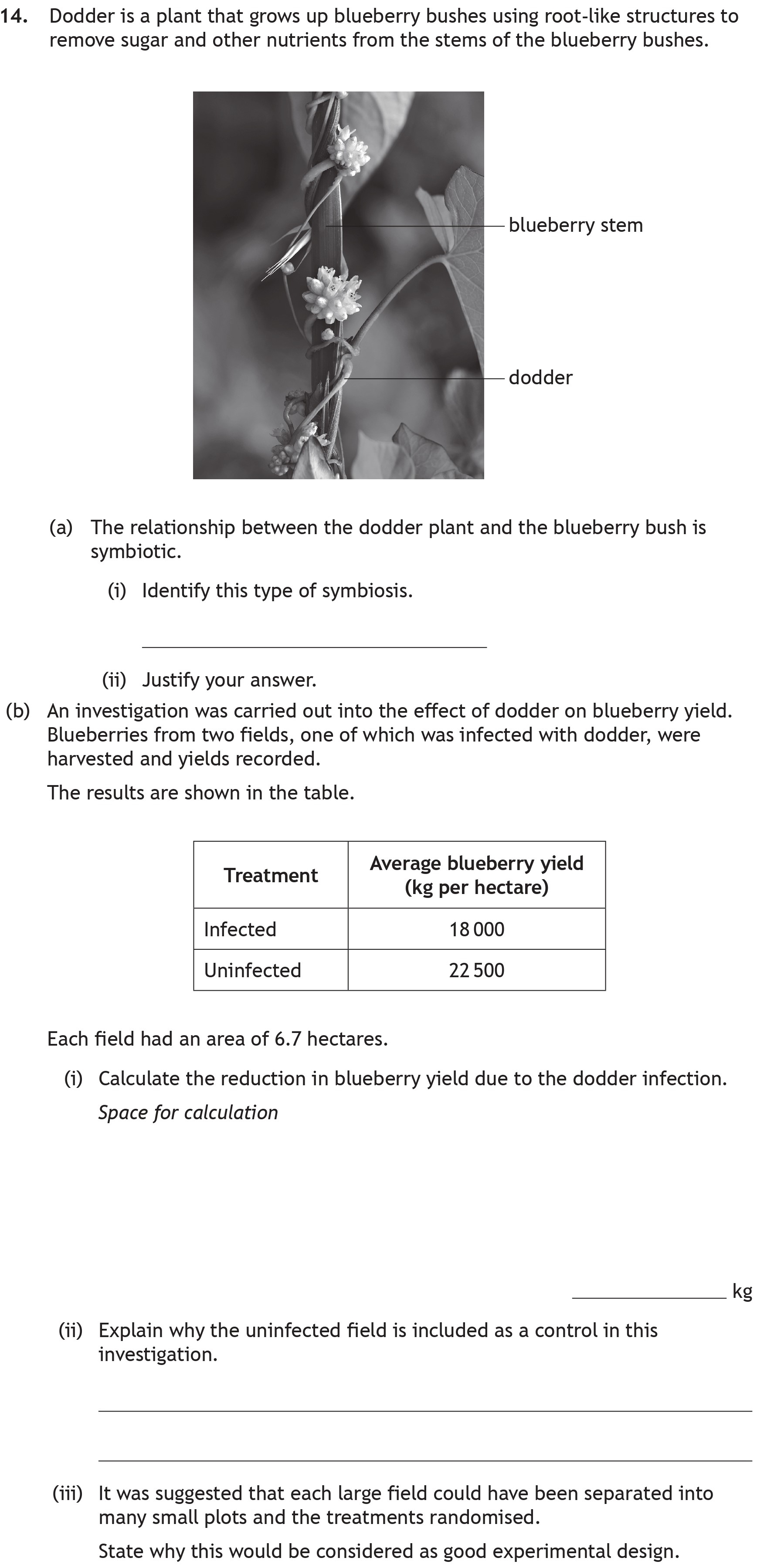 Dodder-is-a-plant-that-grows-up-blueberry-bushes-using-root-like-structures-to-remove-sugar-and-other-nutrients-from-the-stems-of-the-blueberry-bushes-Scottish Highers Biology-Question 14-2023.png