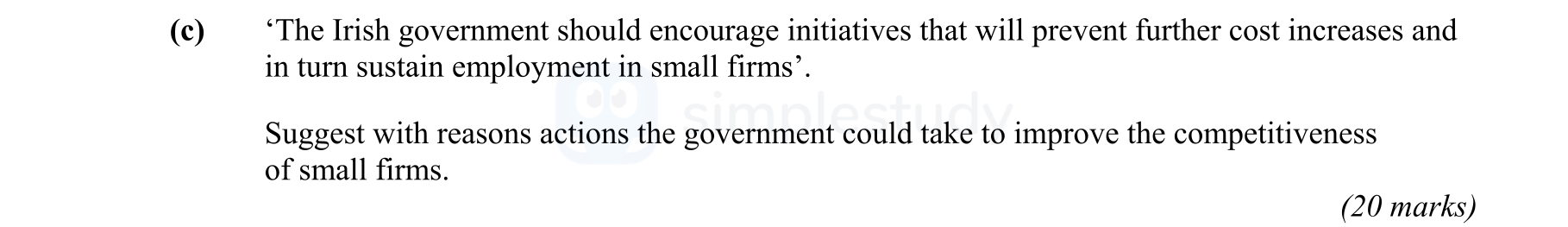 'The-Irish-government-should-encourage-initiatives-that-will-prevent-further-cost-increases-and-in-turn-sustain-employment-in-small-firms'-Leaving Cert Economics-Question e-2009.png