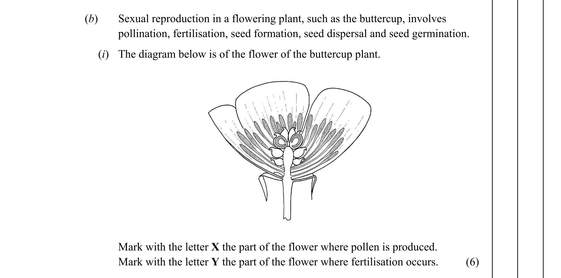 Sexual-reproduction-in-a-flowering-plant,-such-as-the-buttercup,-involves-pollination,-fertilisation,-seed-formation,-seed-dispersal-and-seed-germination-Junior Cycle Science-Question b(i)-2014.png