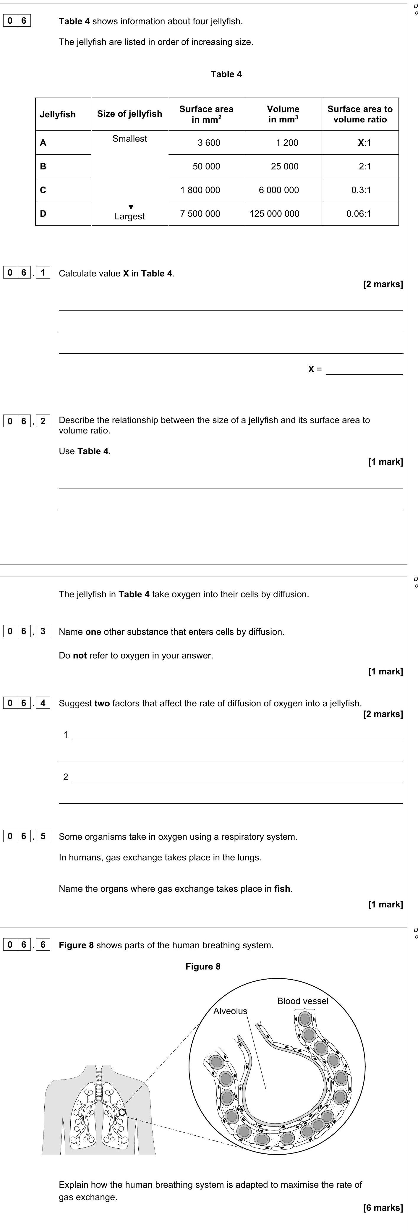 Table-4-shows-information-about-four-jellyfish-AQA-GCSE Biology-Question 6-2010-Paper 1.png