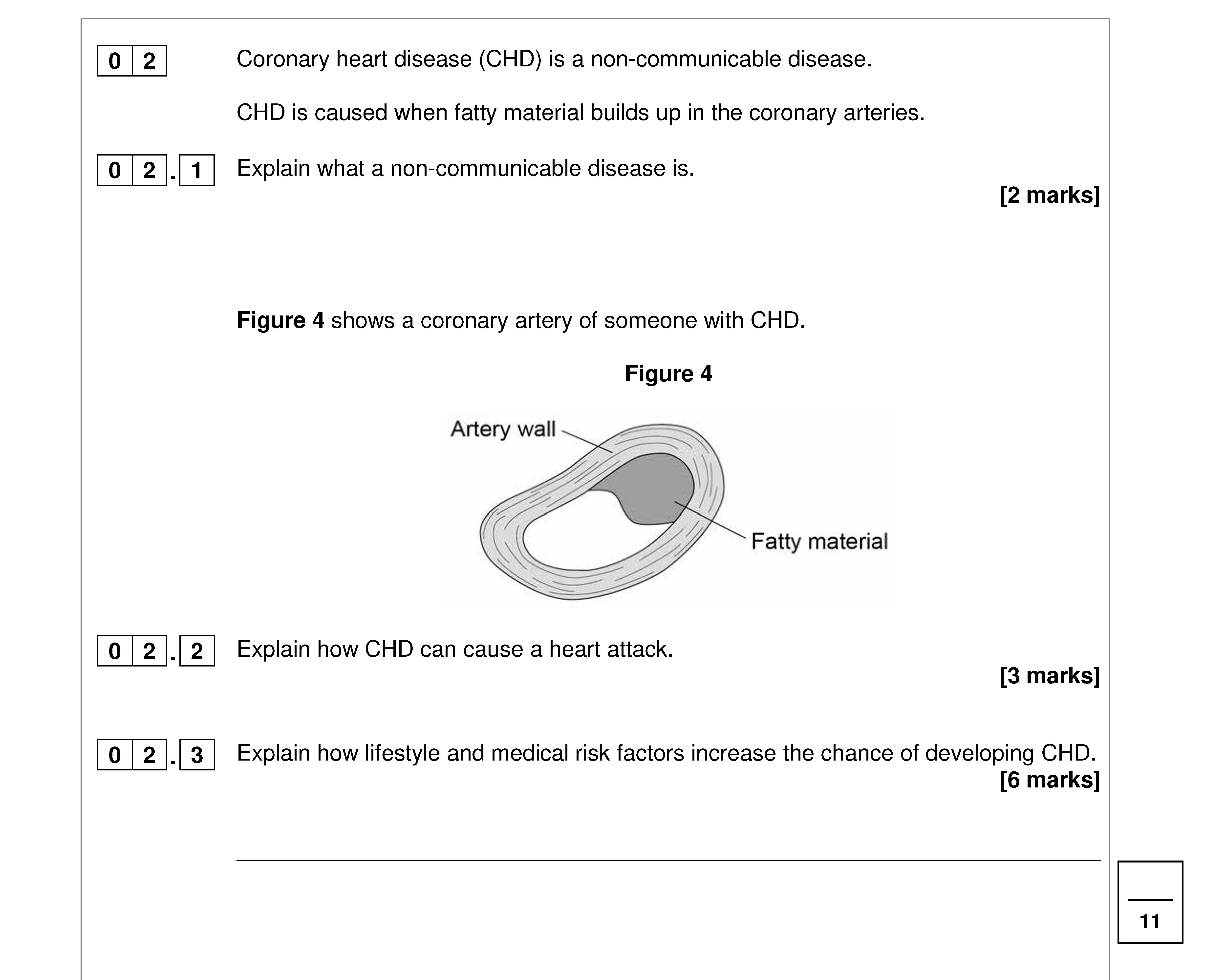 Coronary-heart-disease-(CHD)-is-a-non-communicable-disease-AQA-GCSE Biology Combined Science-Question 2-2018-Paper 1.png