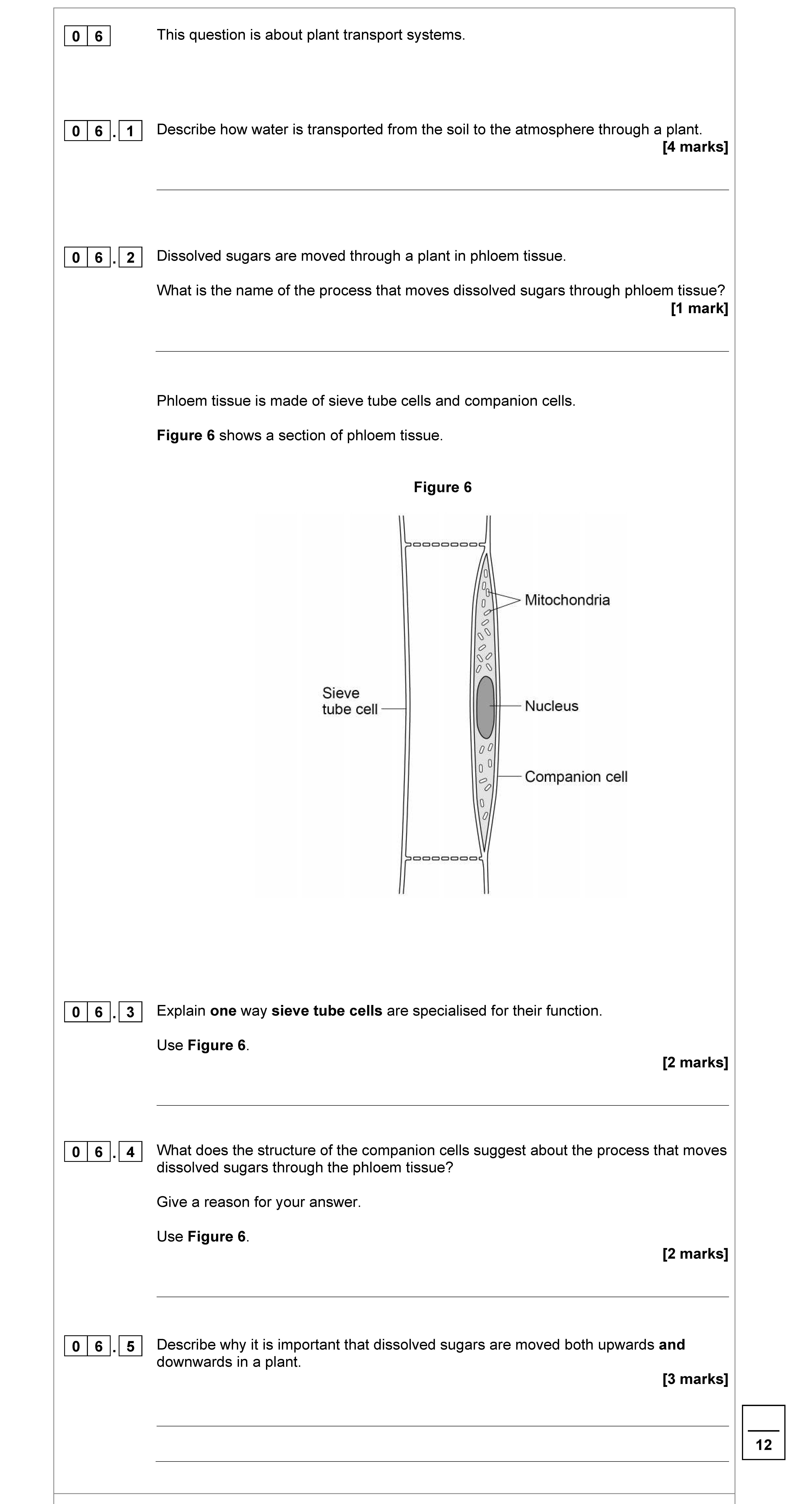 This-question-is-about-plant-transport-systems-AQA-GCSE Biology Combined Science-Question 6-2021-Paper 1.png