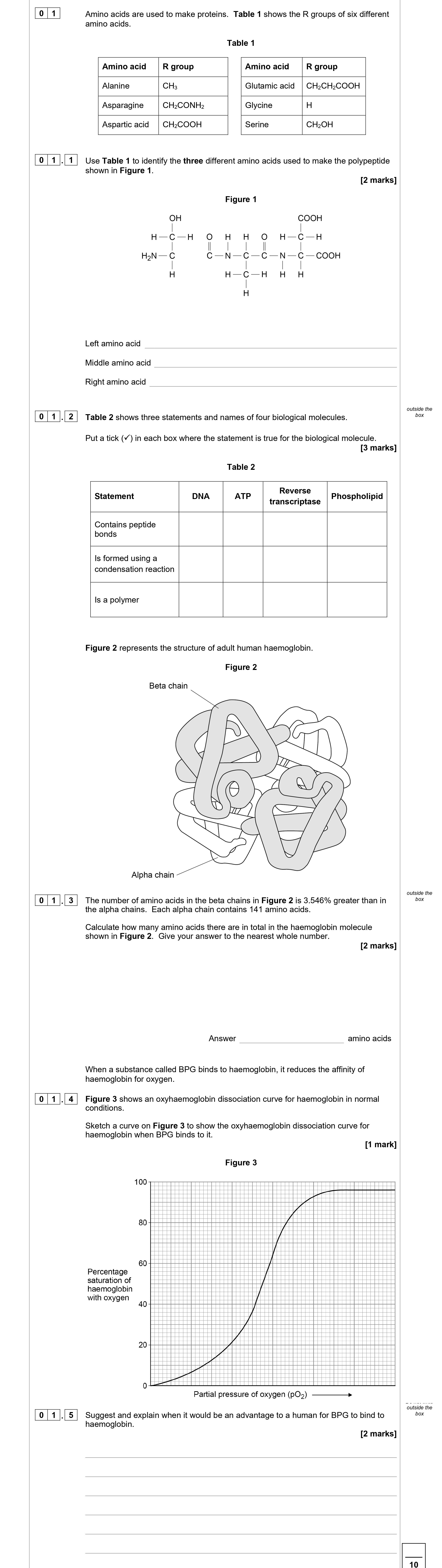 Use-Table-1-to-identify-the-three-different-amino-acids-used-to-make-the-polypeptide-shown-in-Figure-1-AQA-A-Level Biology-Question 1-2022-Paper 3.png
