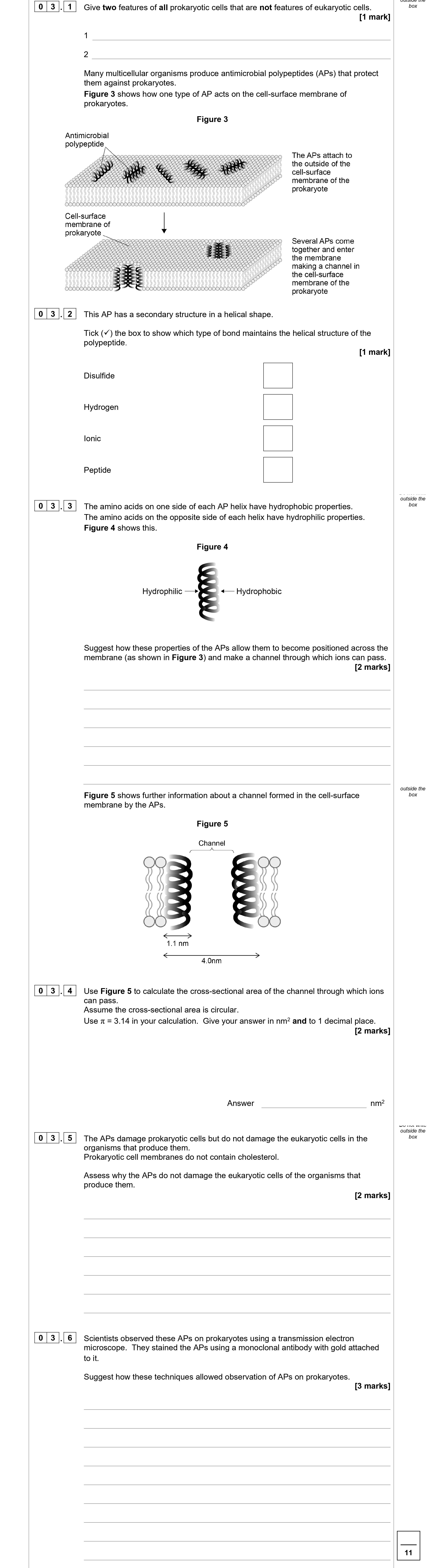 Give-two-features-of-all-prokaryotic-cells-that-are-not-features-of-eukaryotic-cells-AQA-A-Level Biology-Question 3-2022-Paper 1.png