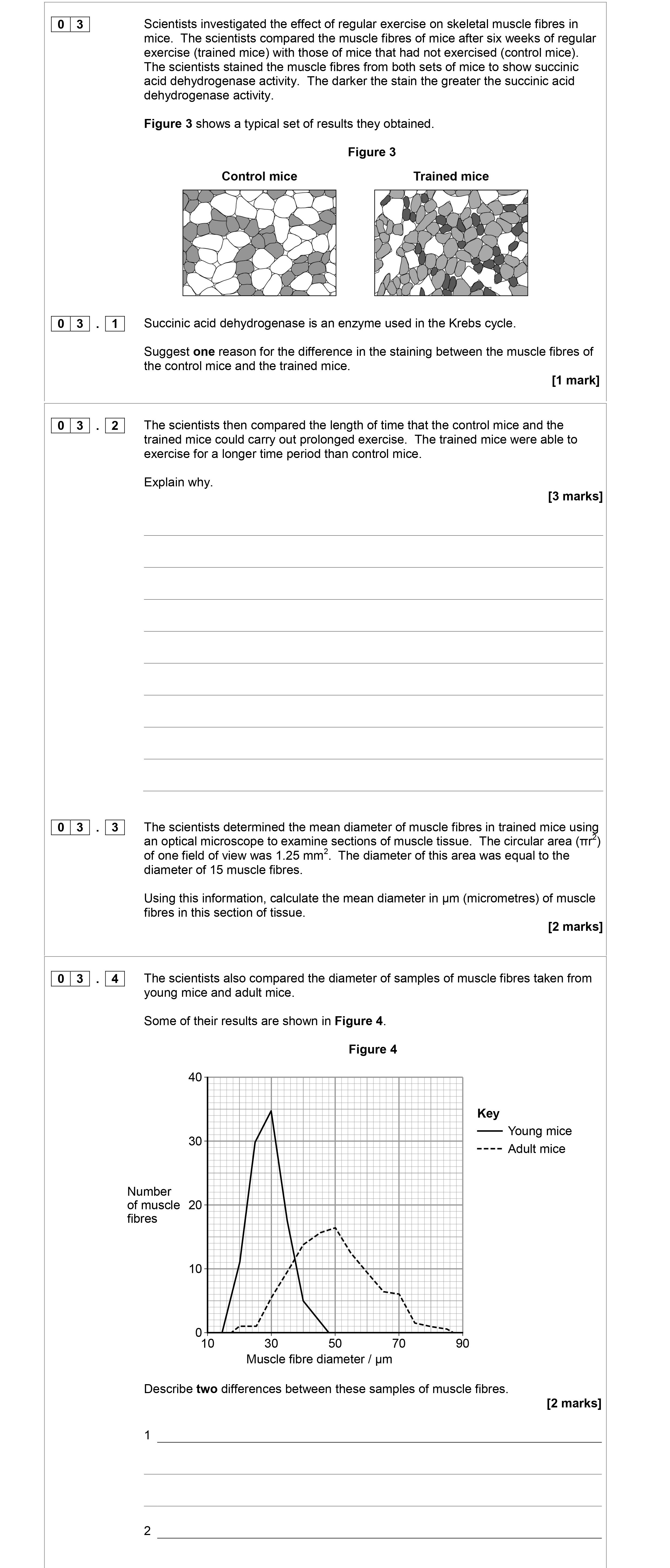 Scientists-investigated-the-effect-of-regular-exercise-on-skeletal-muscle-fibres-in-mice-AQA-A-Level Biology-Question 3-2017-Paper 2.png
