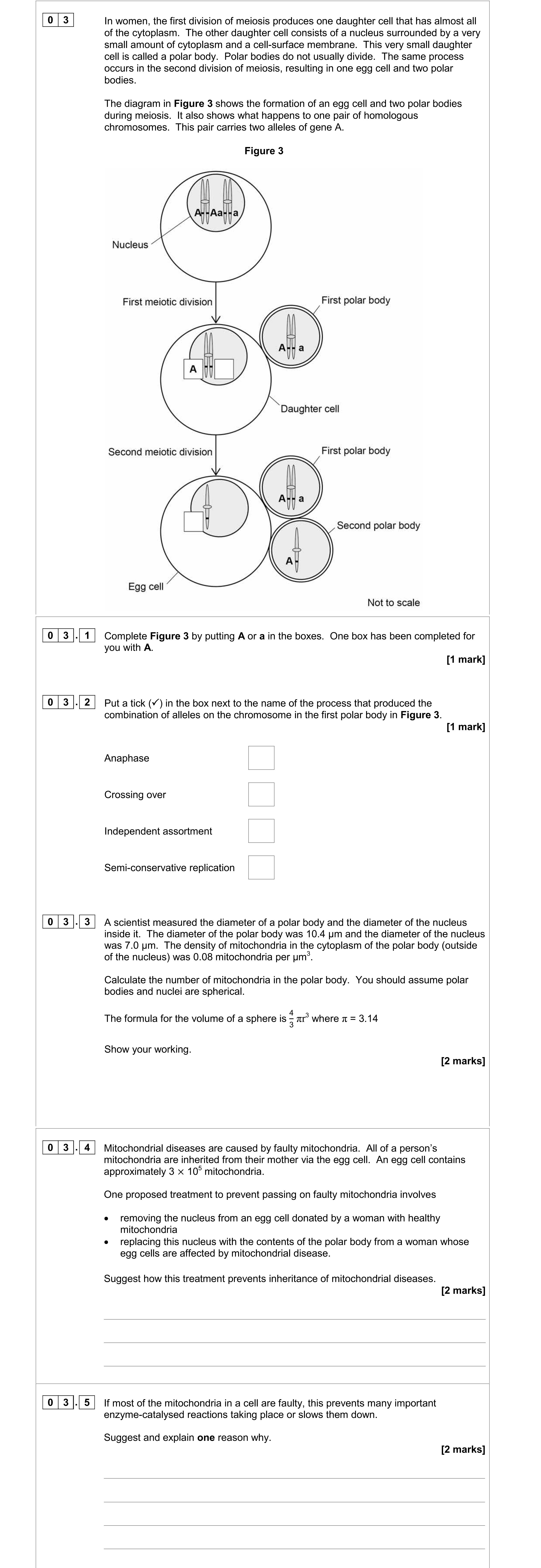 In-women,-the-first-division-of-meiosis-produces-one-daughter-cell-that-has-almost-all-of-the-cytoplasm-AQA-A-Level Biology-Question 3-2018-Paper 3.png