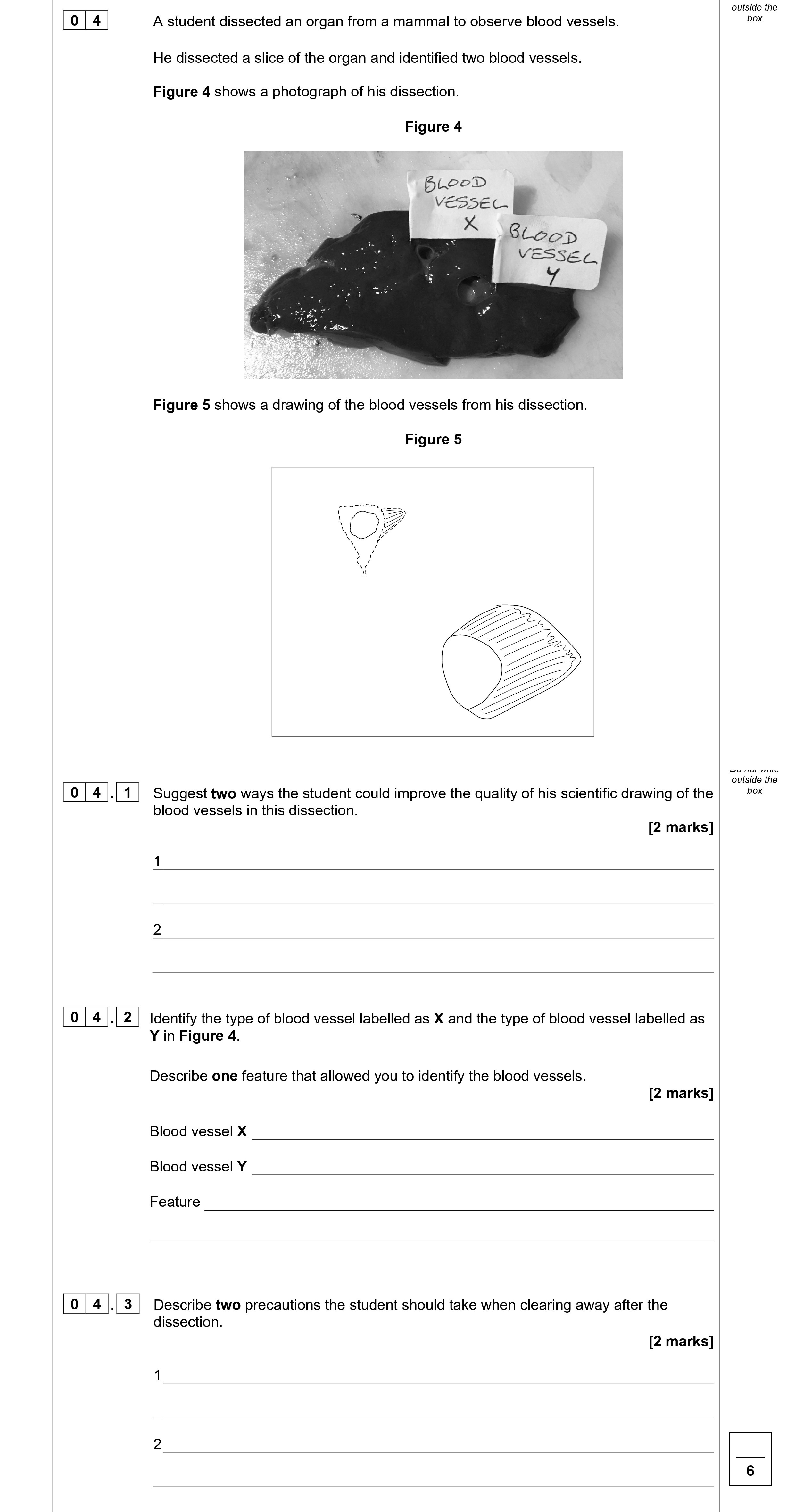 A-student-dissected-an-organ-from-a-mammal-to-observe-blood-vessels-AQA-A-Level Biology-Question 4-2021-Paper 1.png